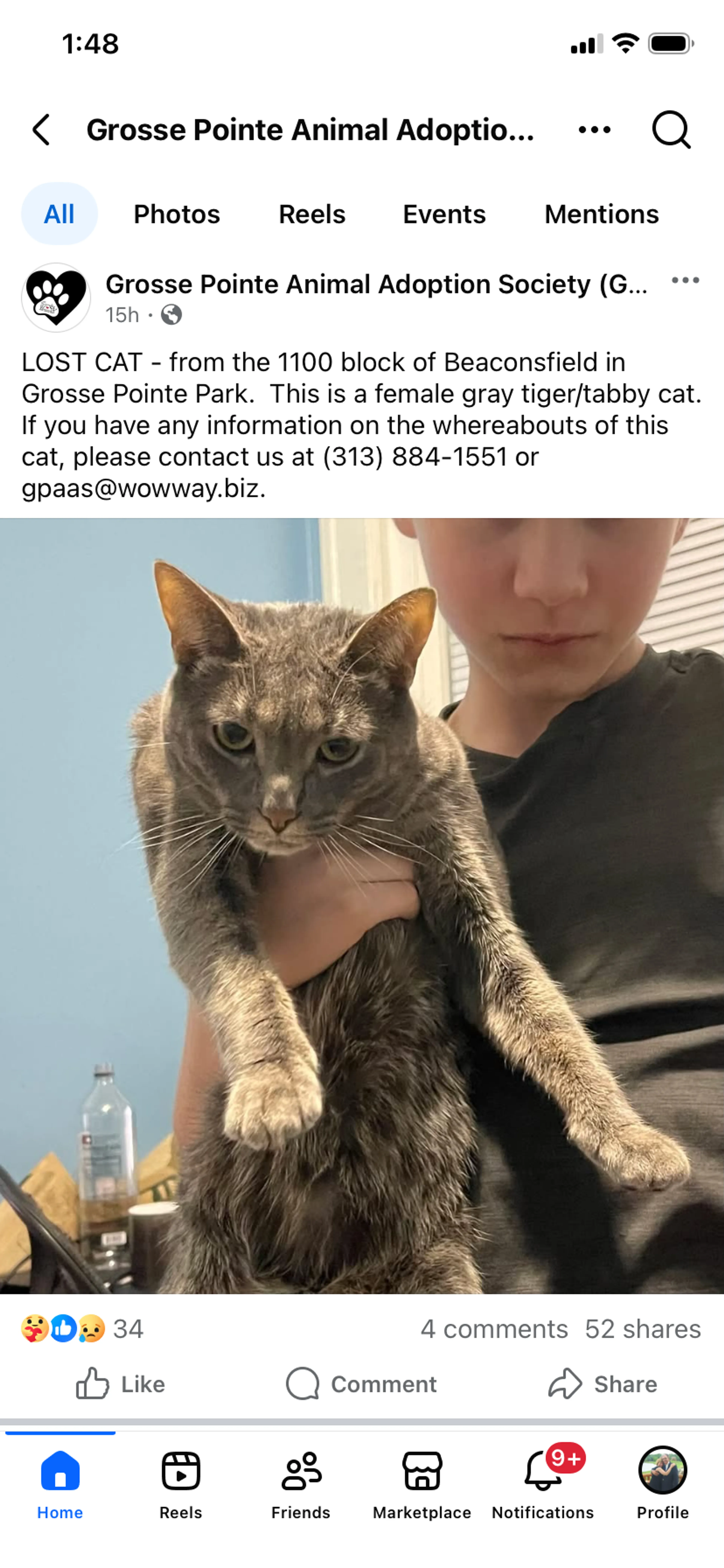 Lost pet