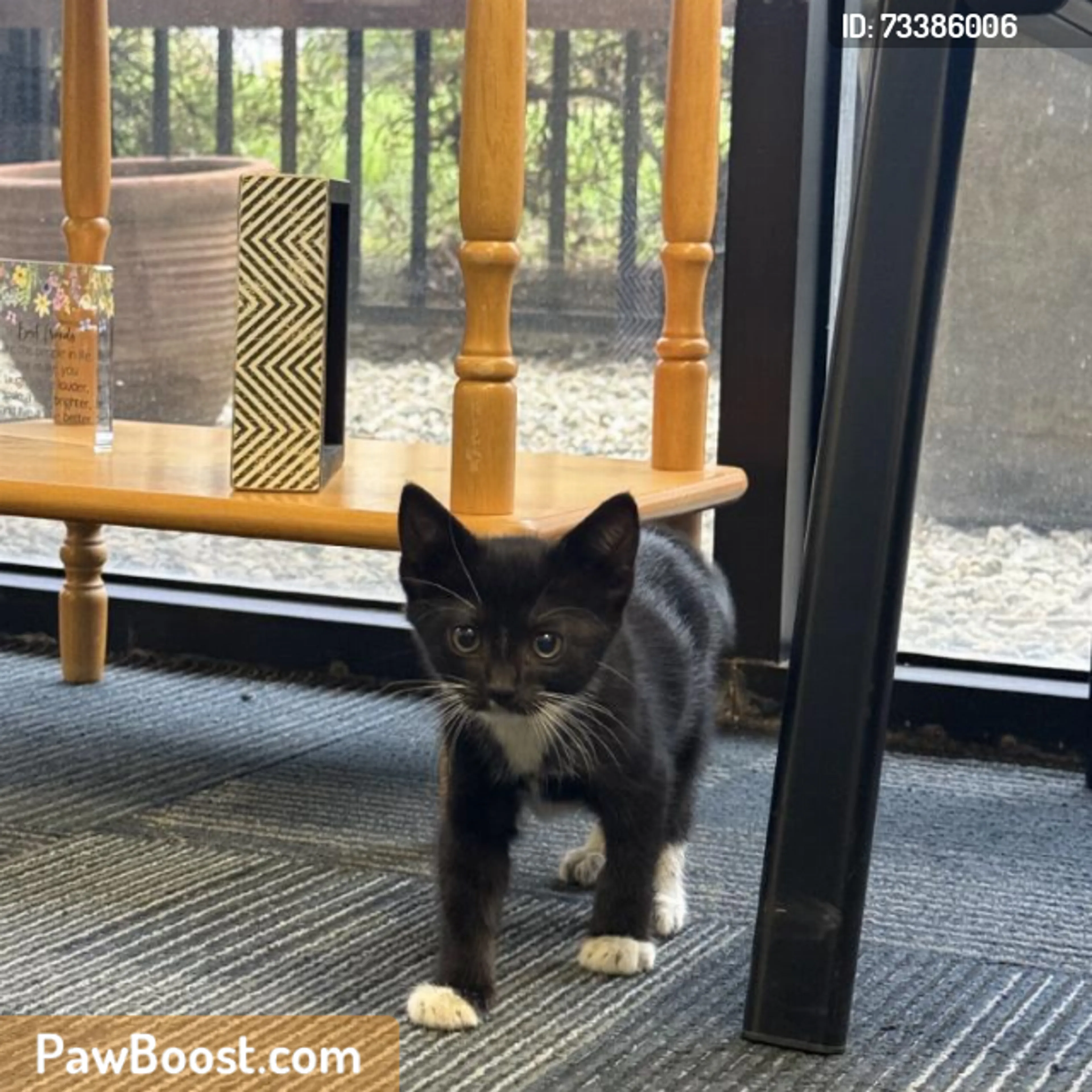 cdn image