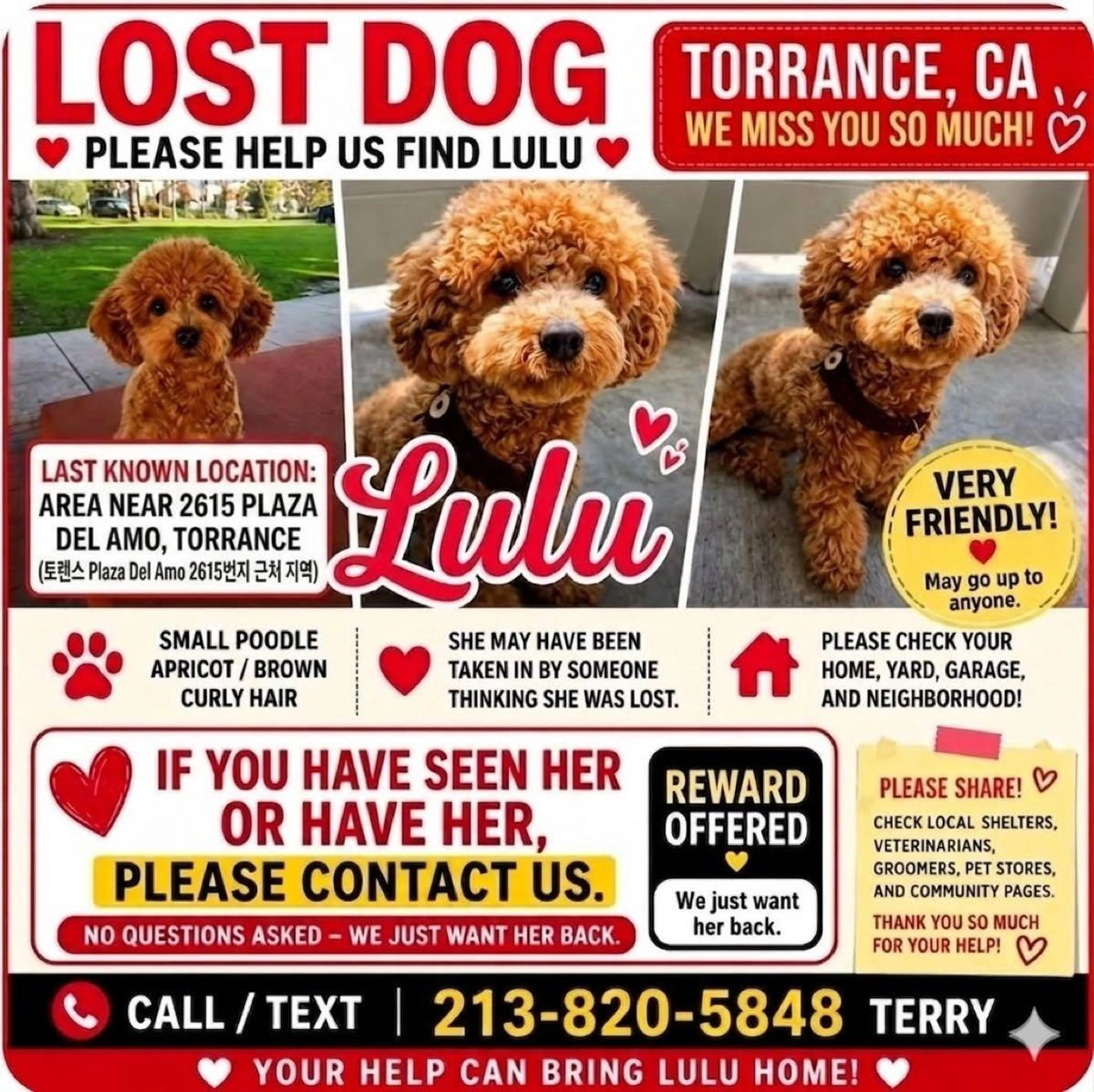 Lost pet