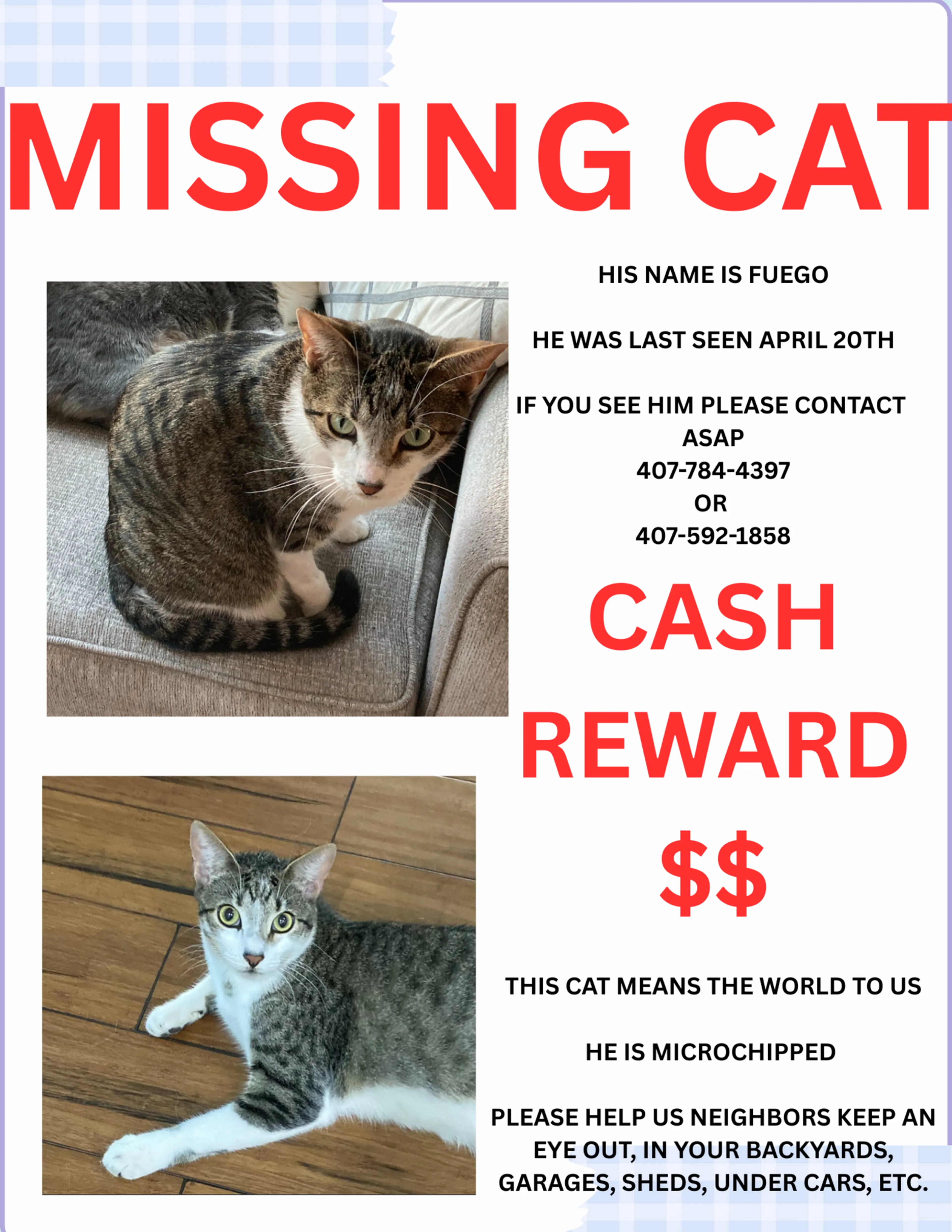 Lost pet