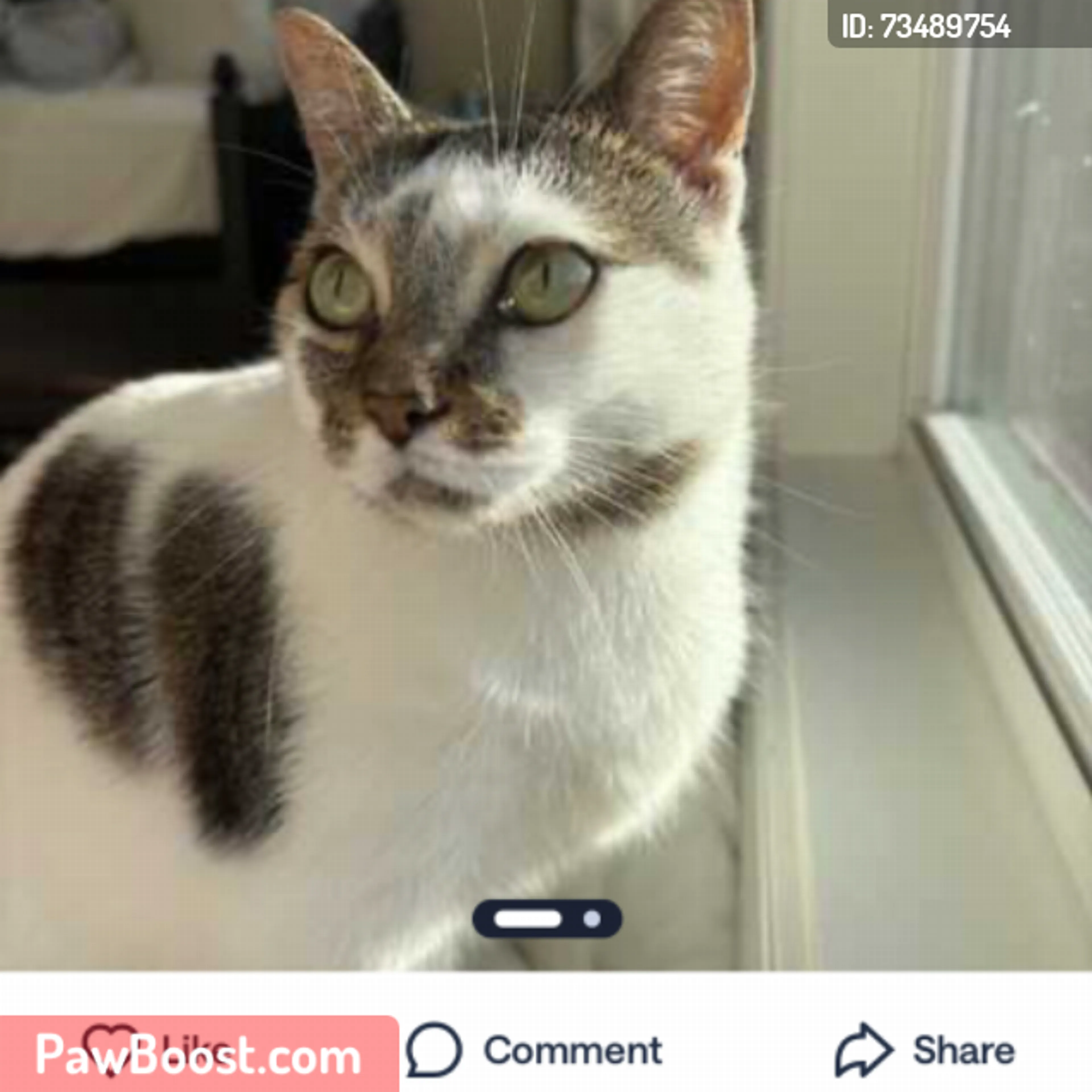 cdn image