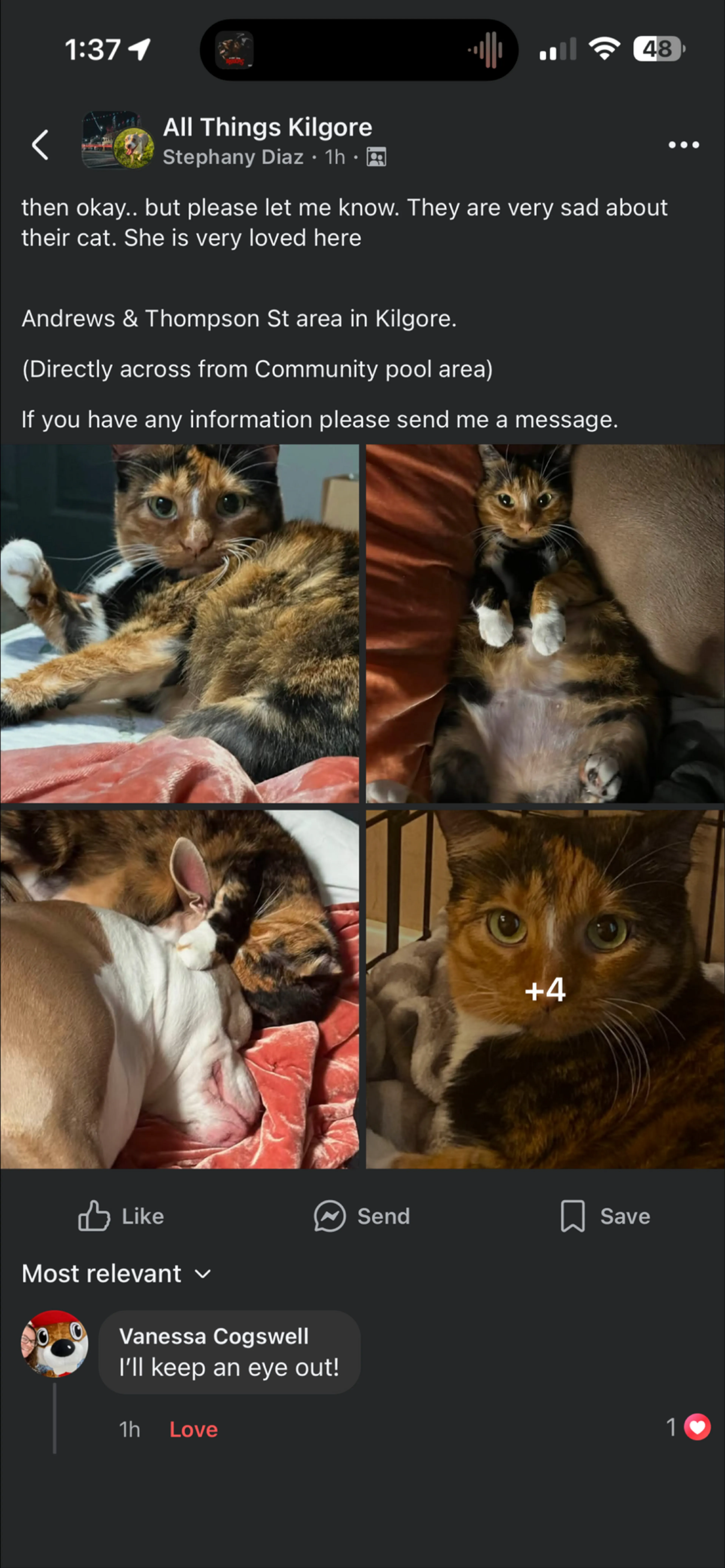 cdn image