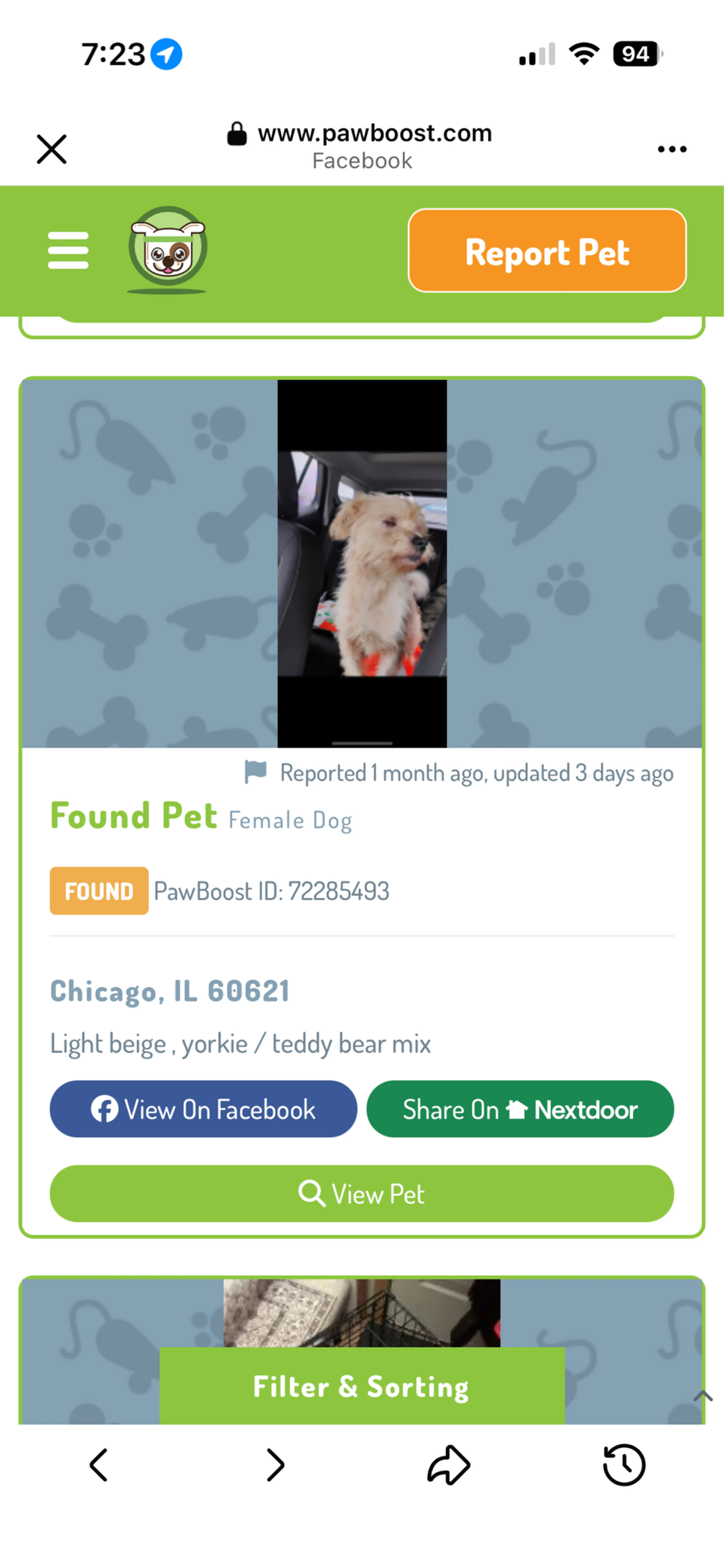 Found pet