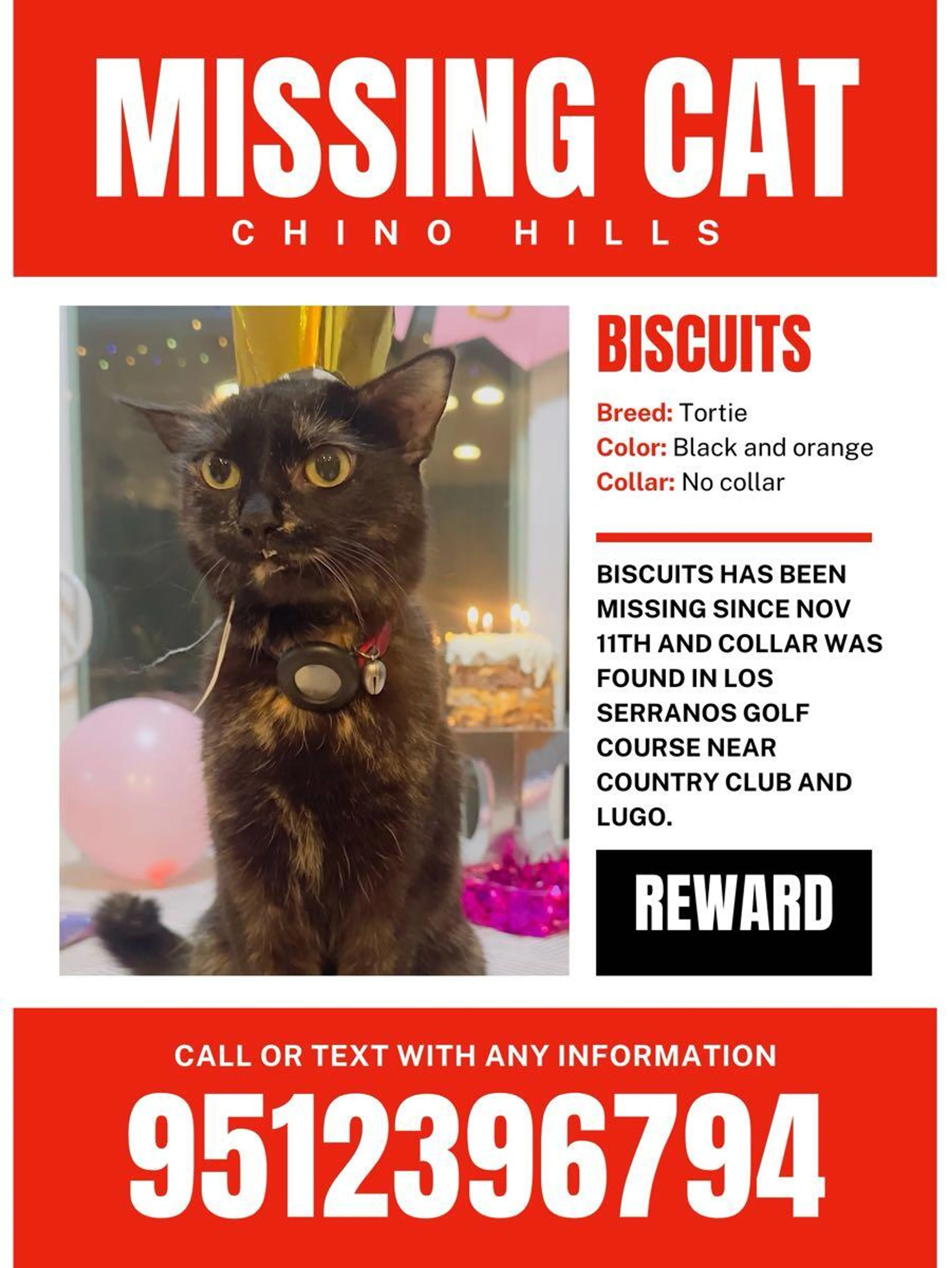 Lost pet