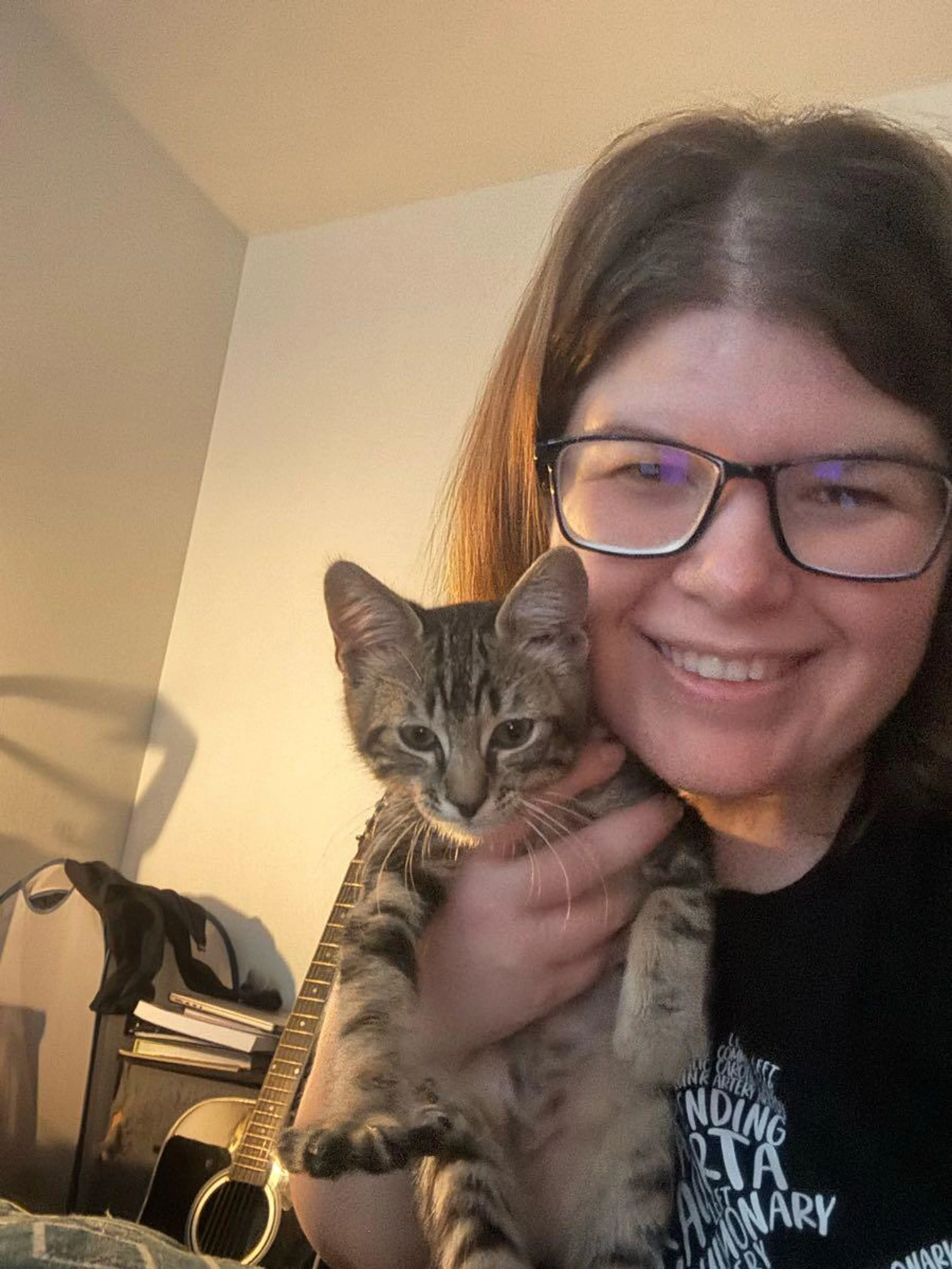 Found pet