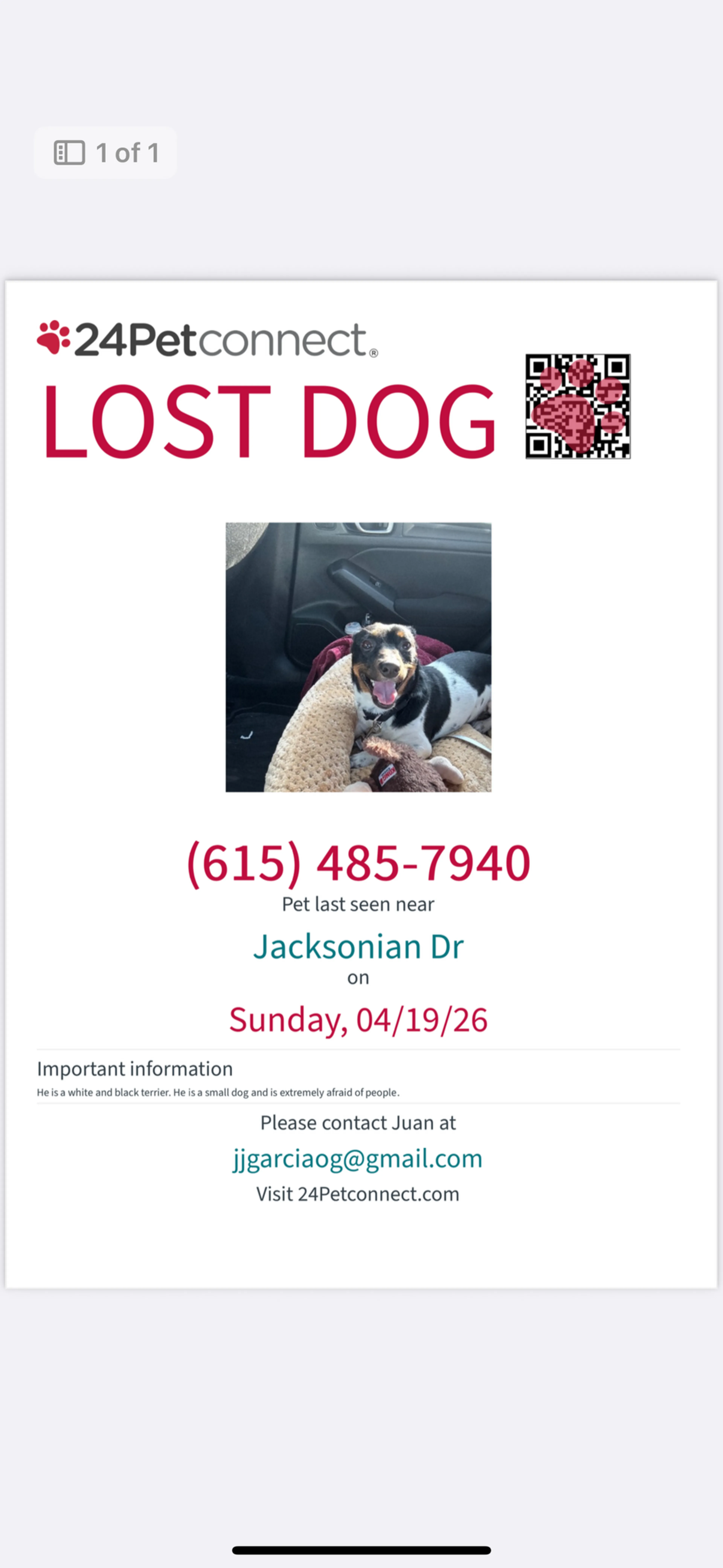 Lost pet