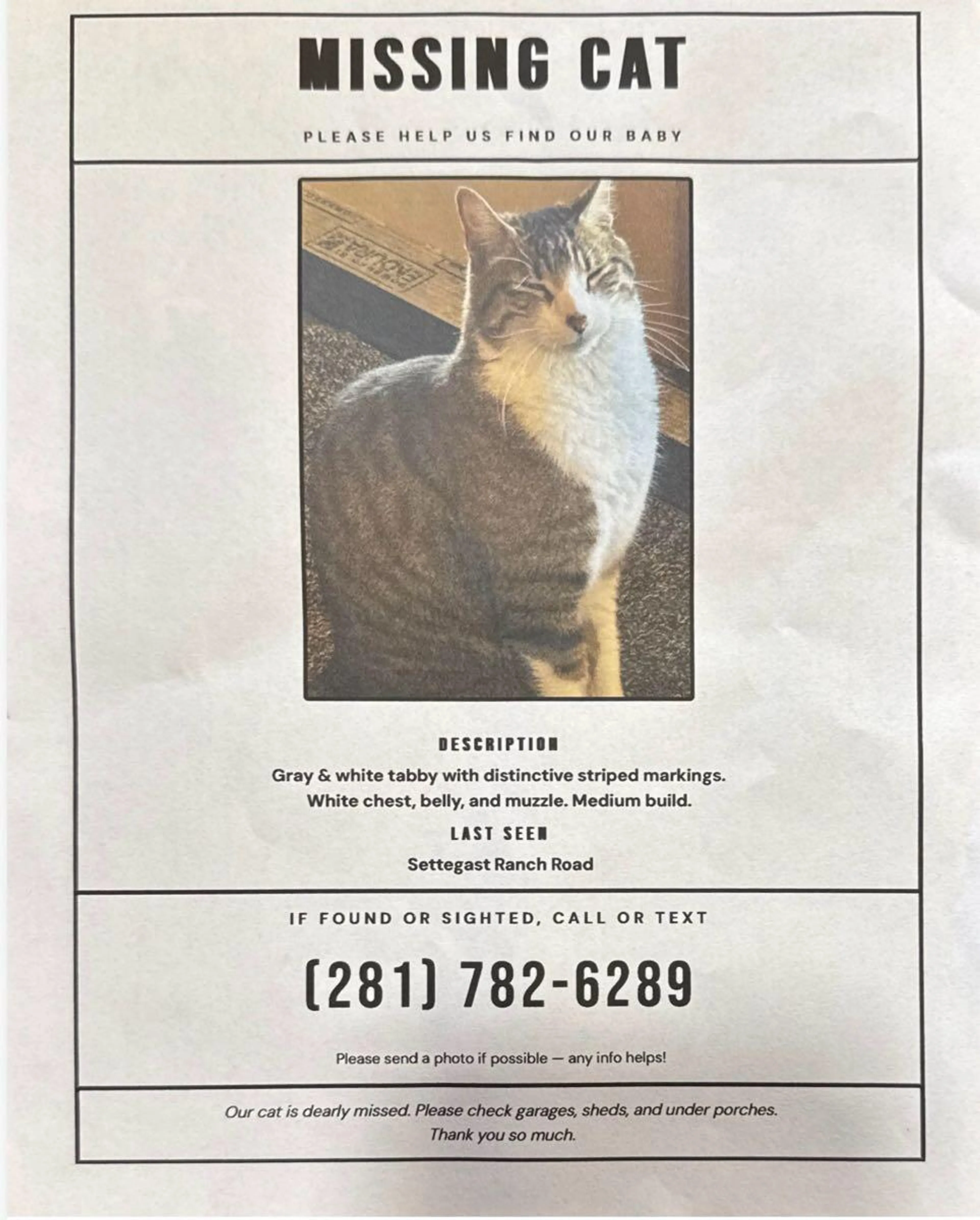 Lost pet