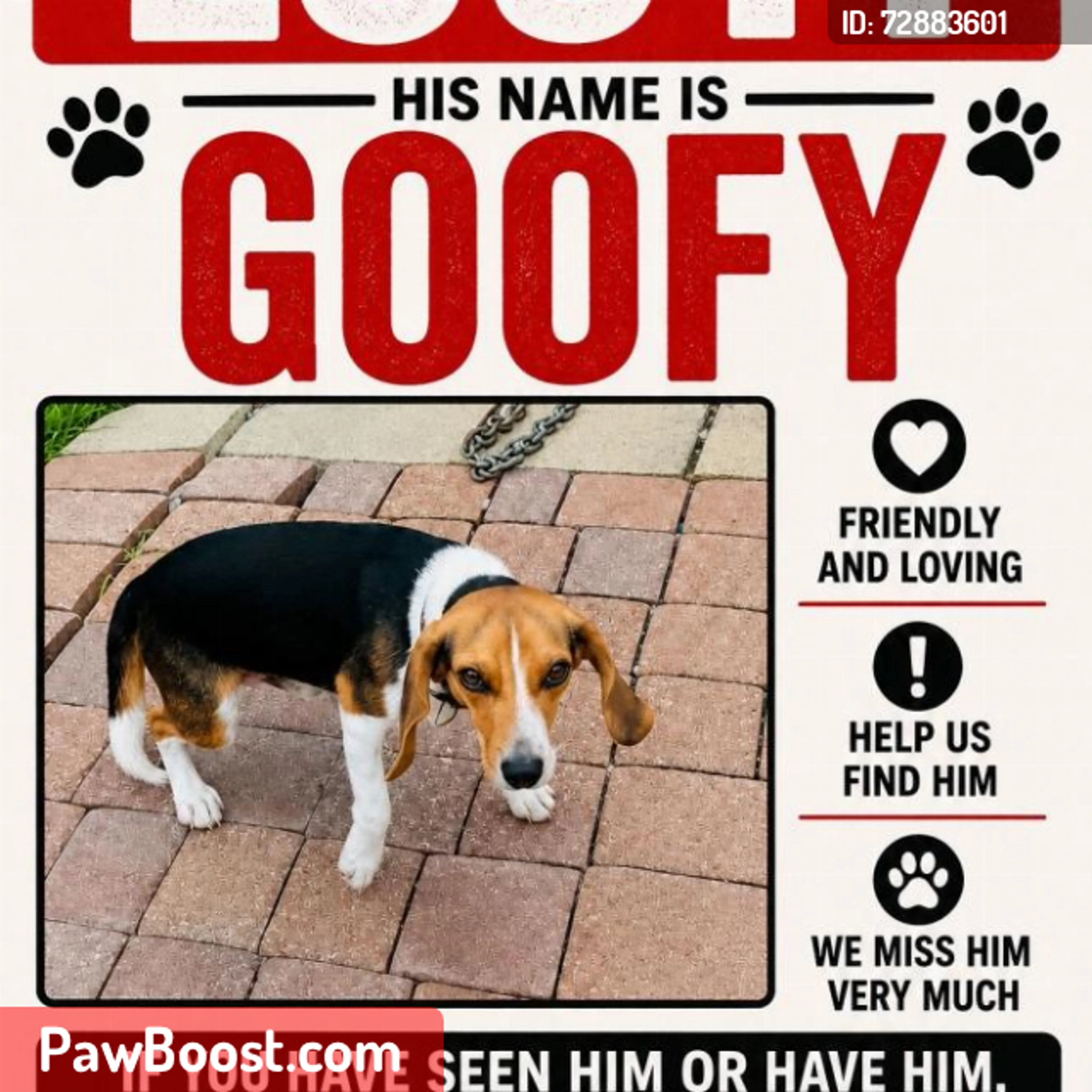 Lost pet