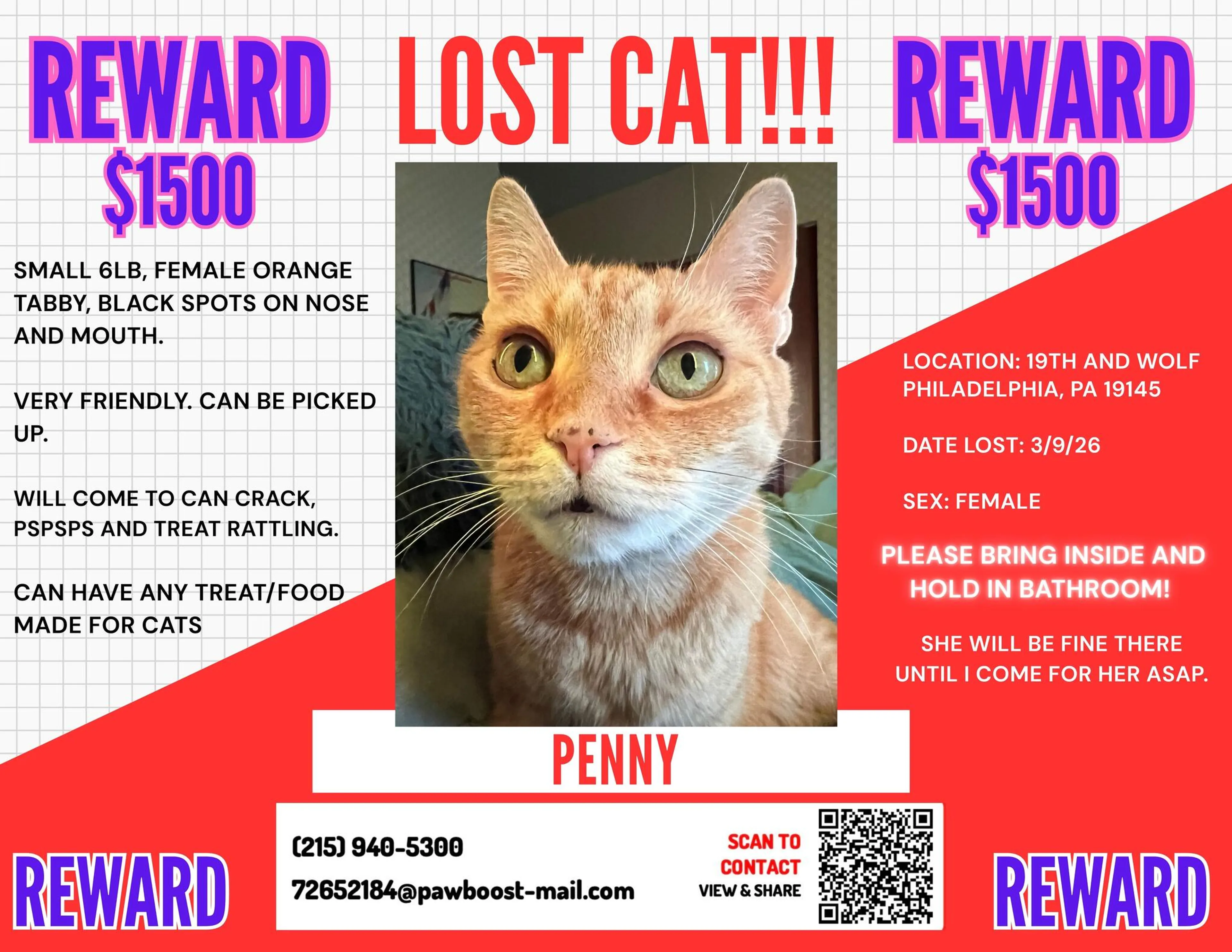 Lost pet