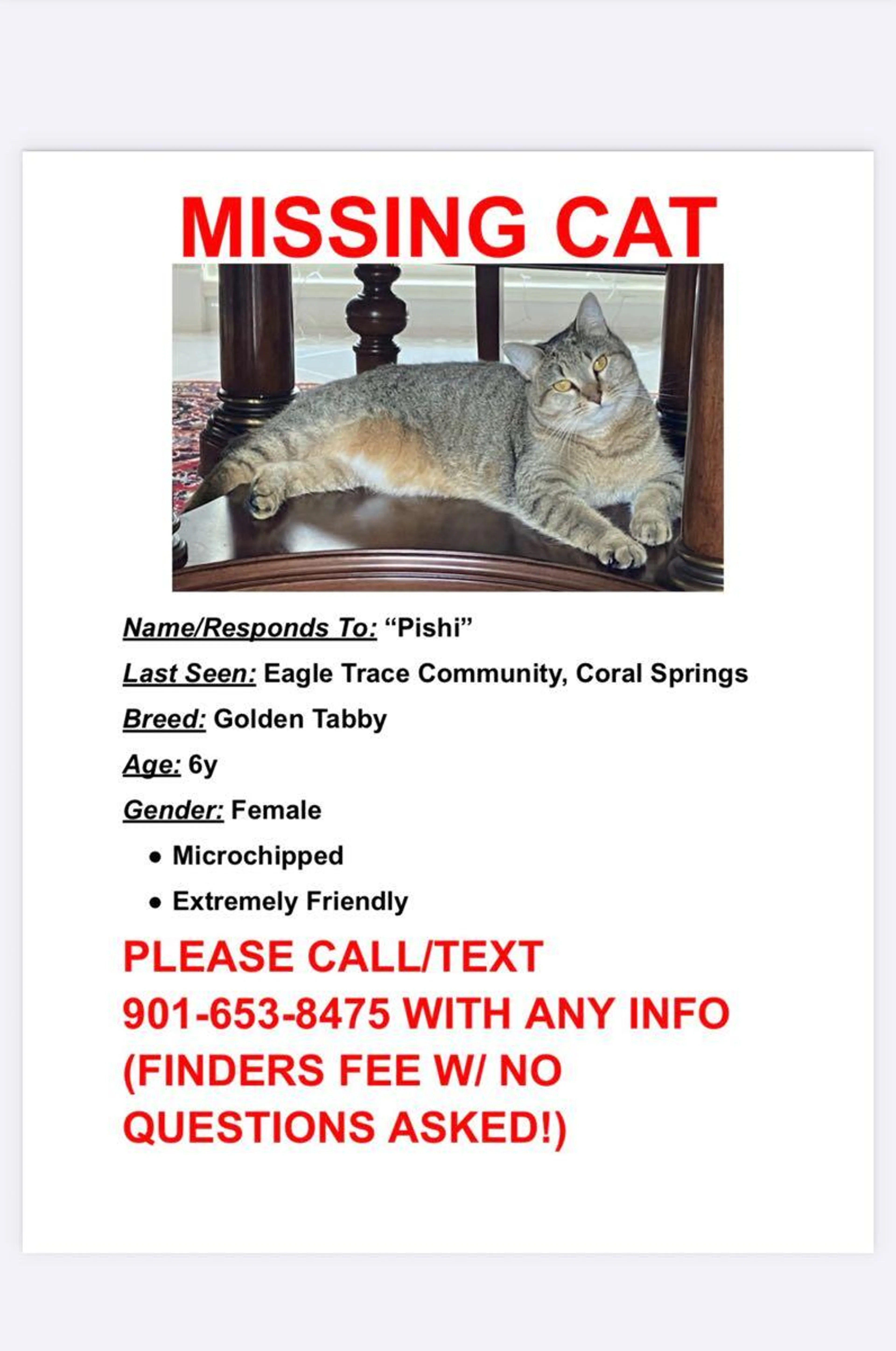 Lost pet
