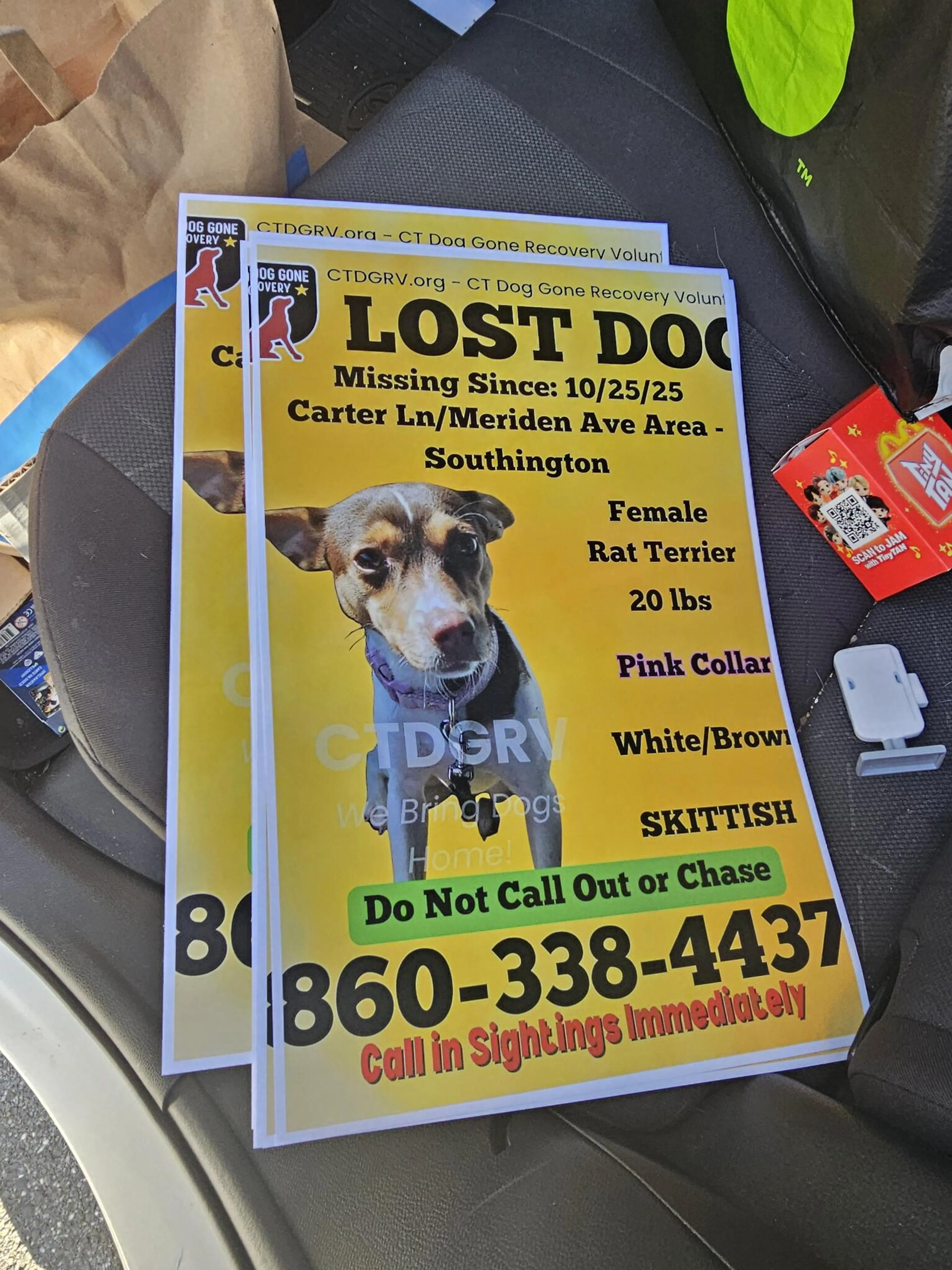 Lost pet