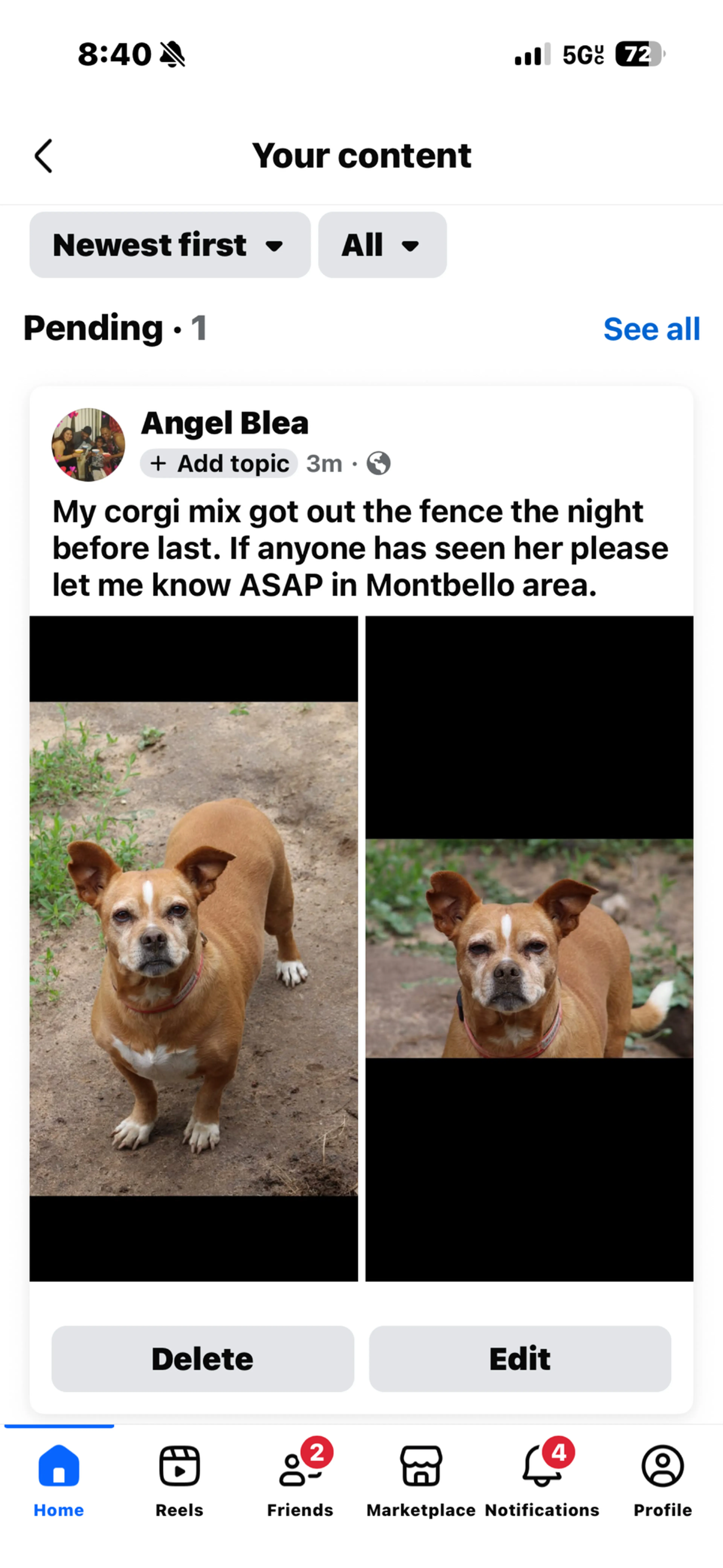 Lost pet