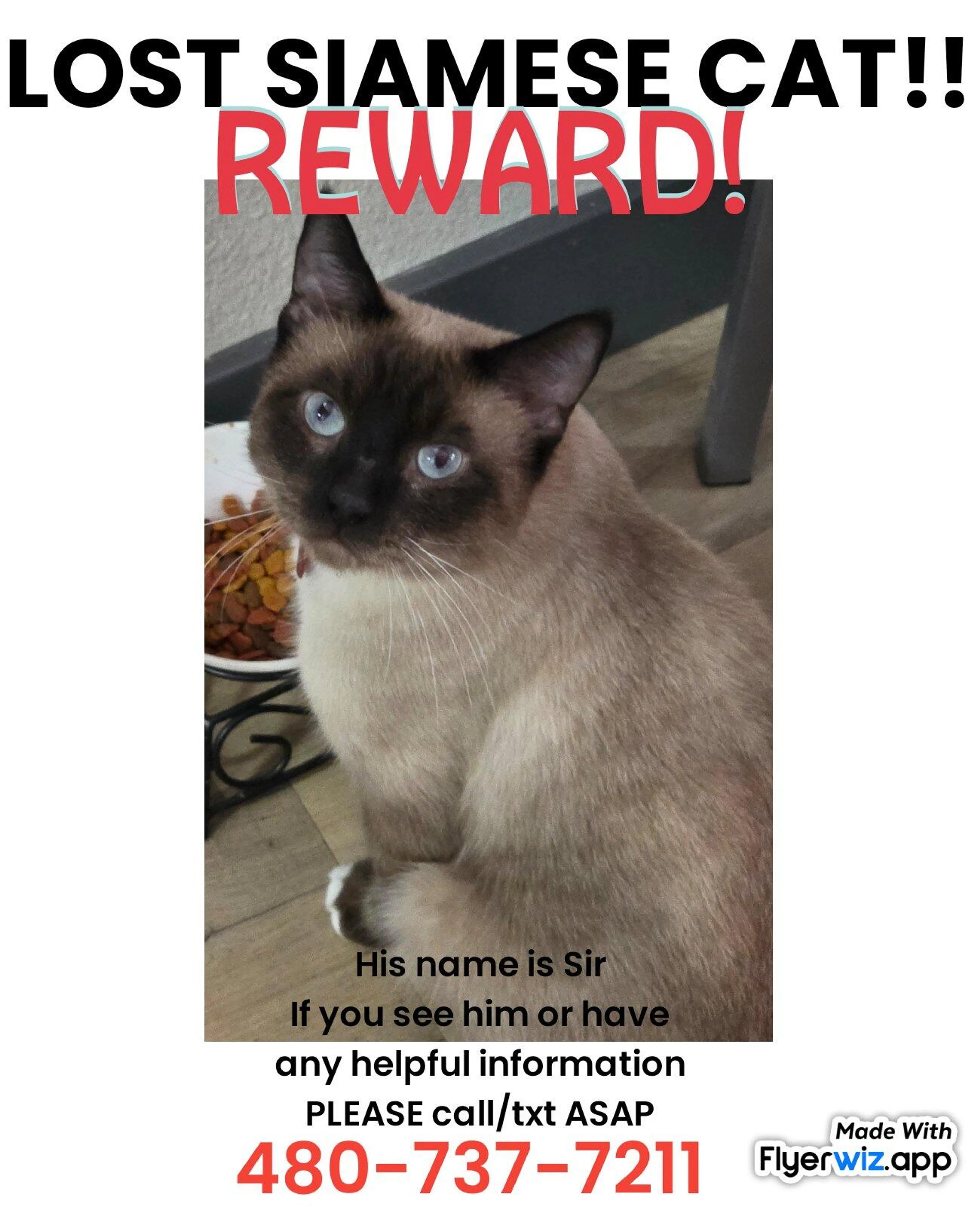 Lost pet