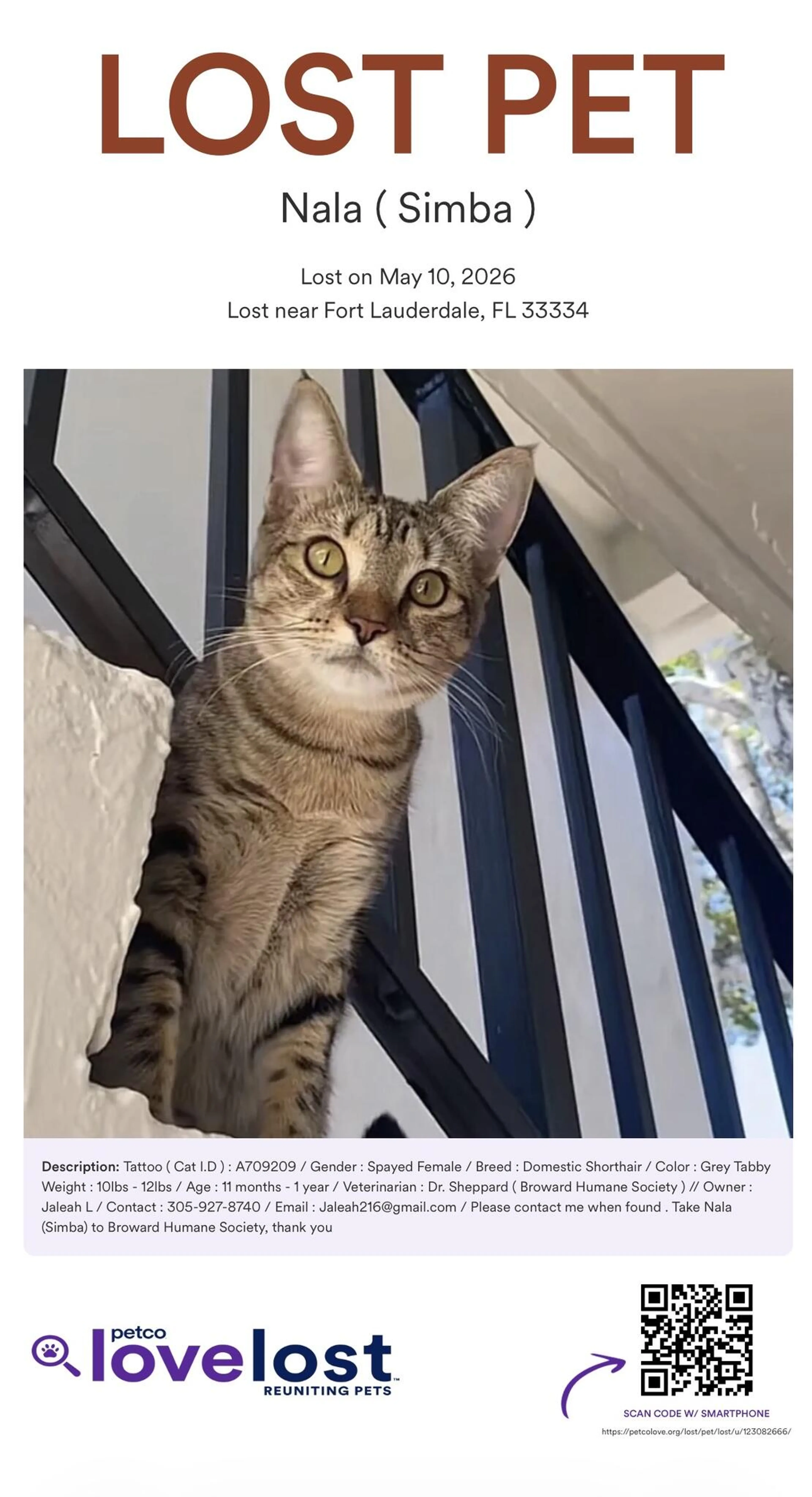 Lost pet