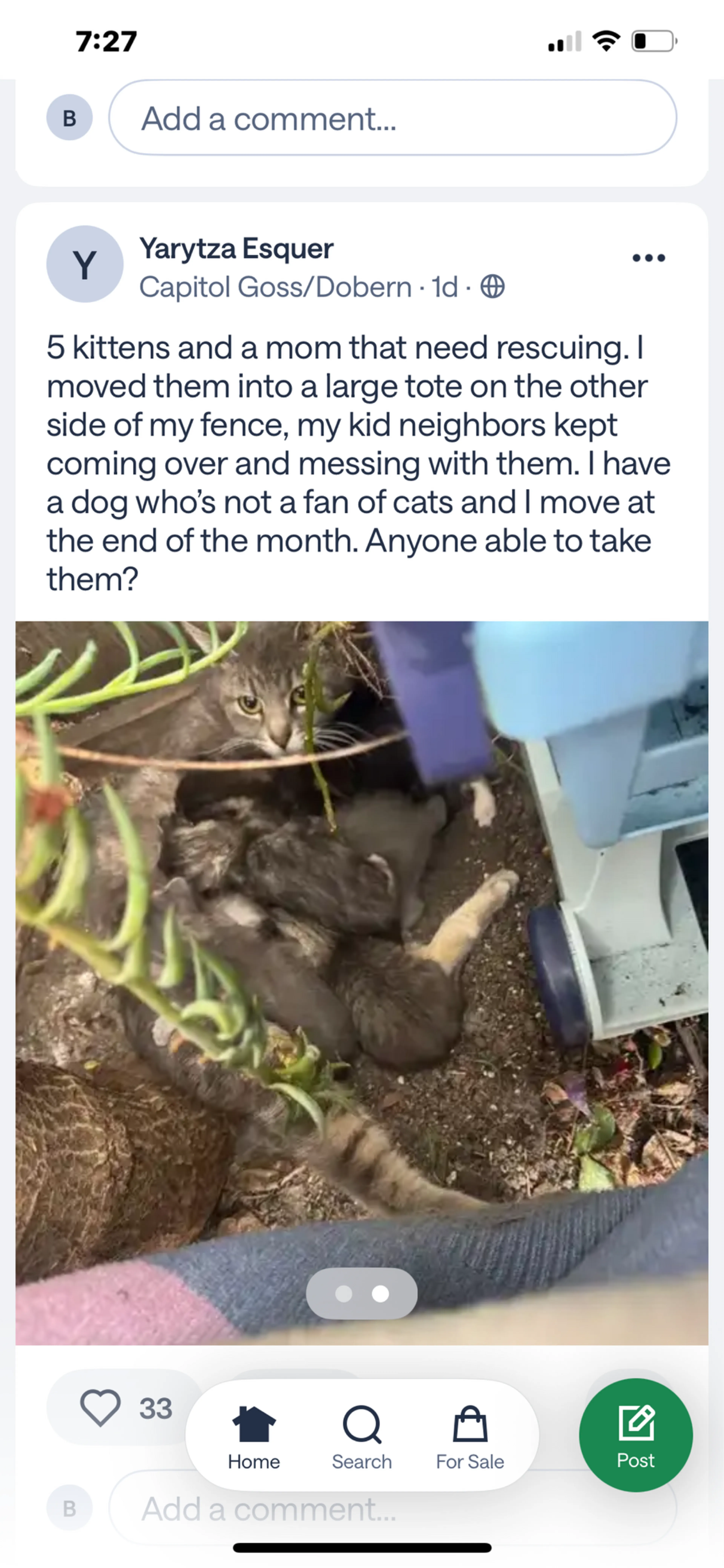 Found pet