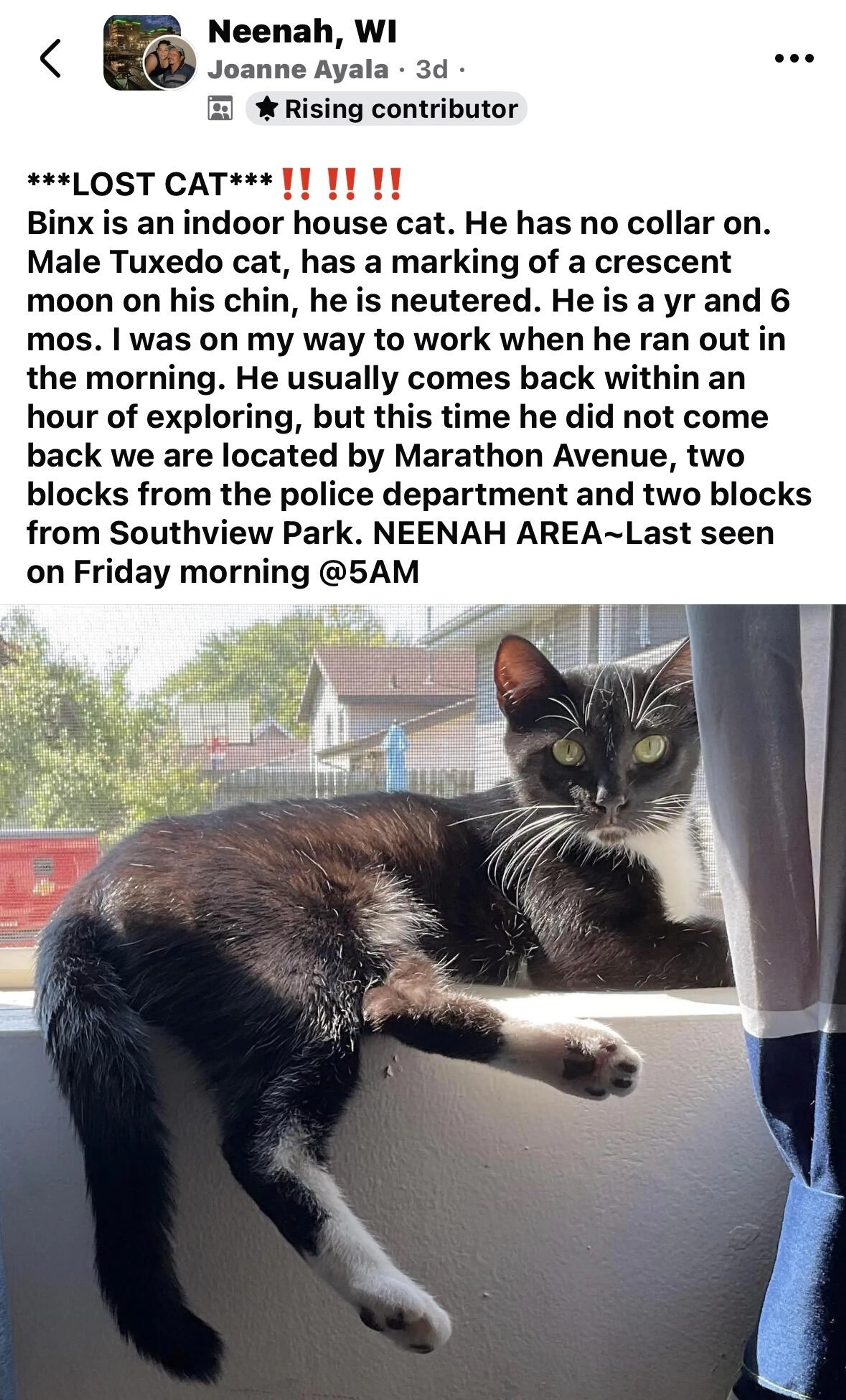 Lost pet