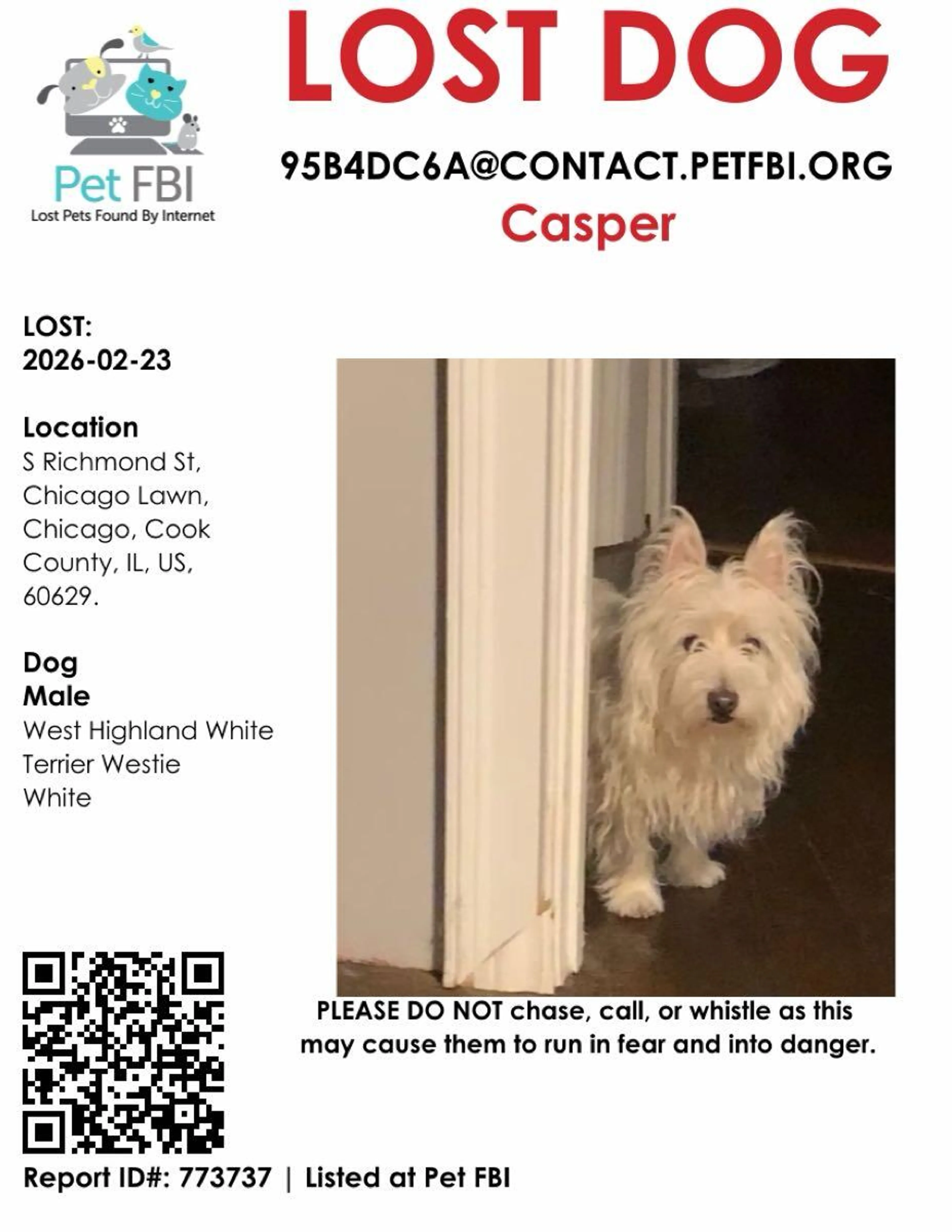 Lost pet