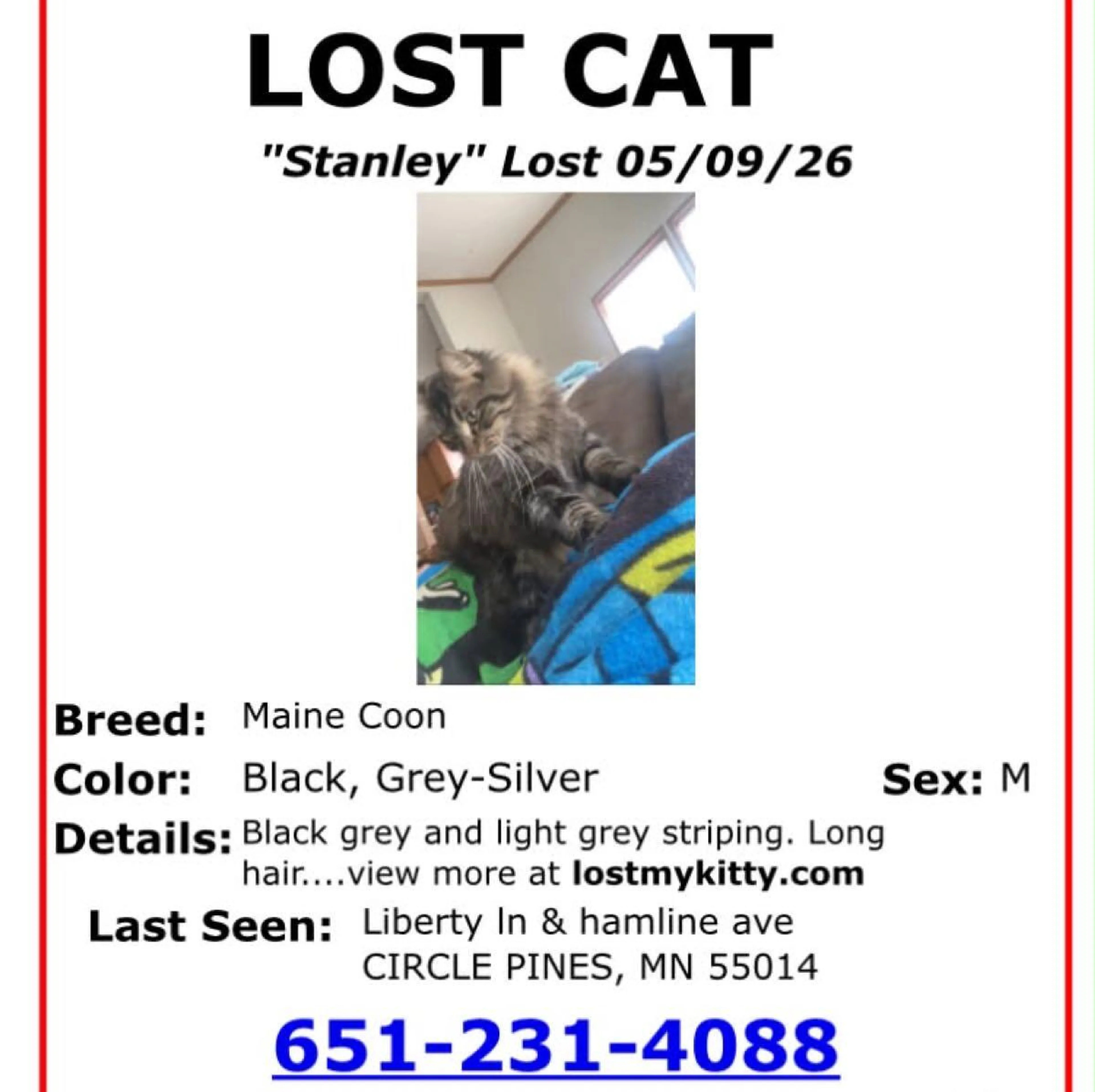 Lost pet