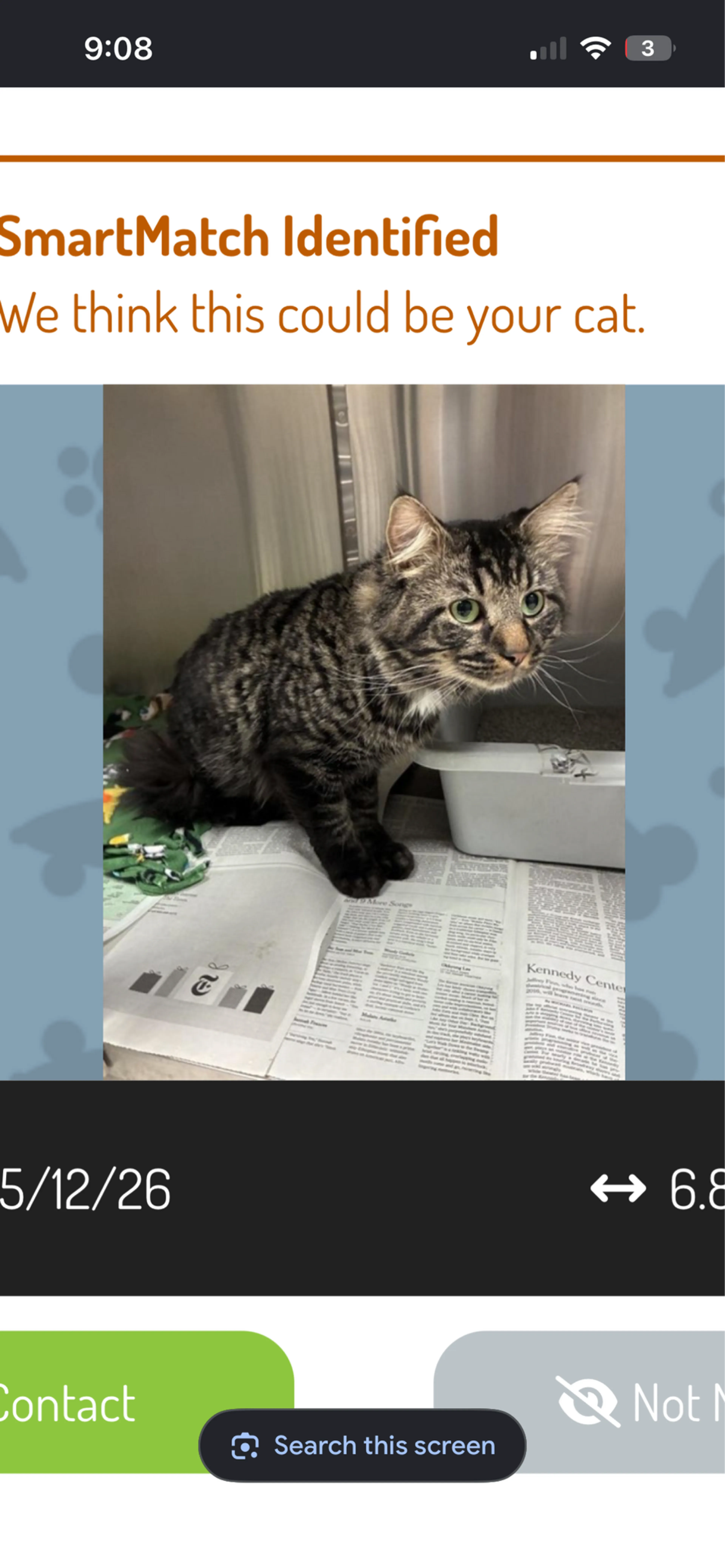 Found pet