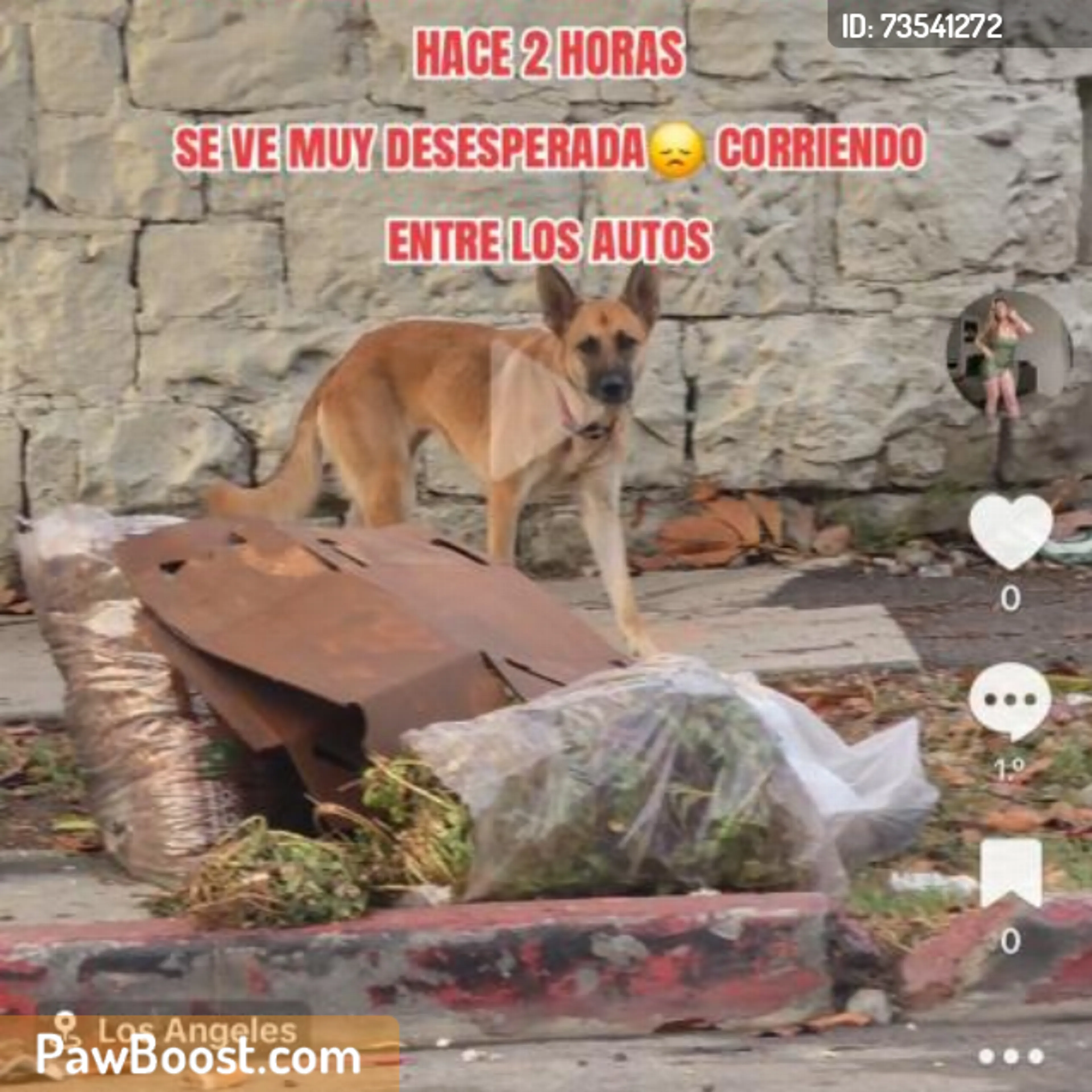 cdn image