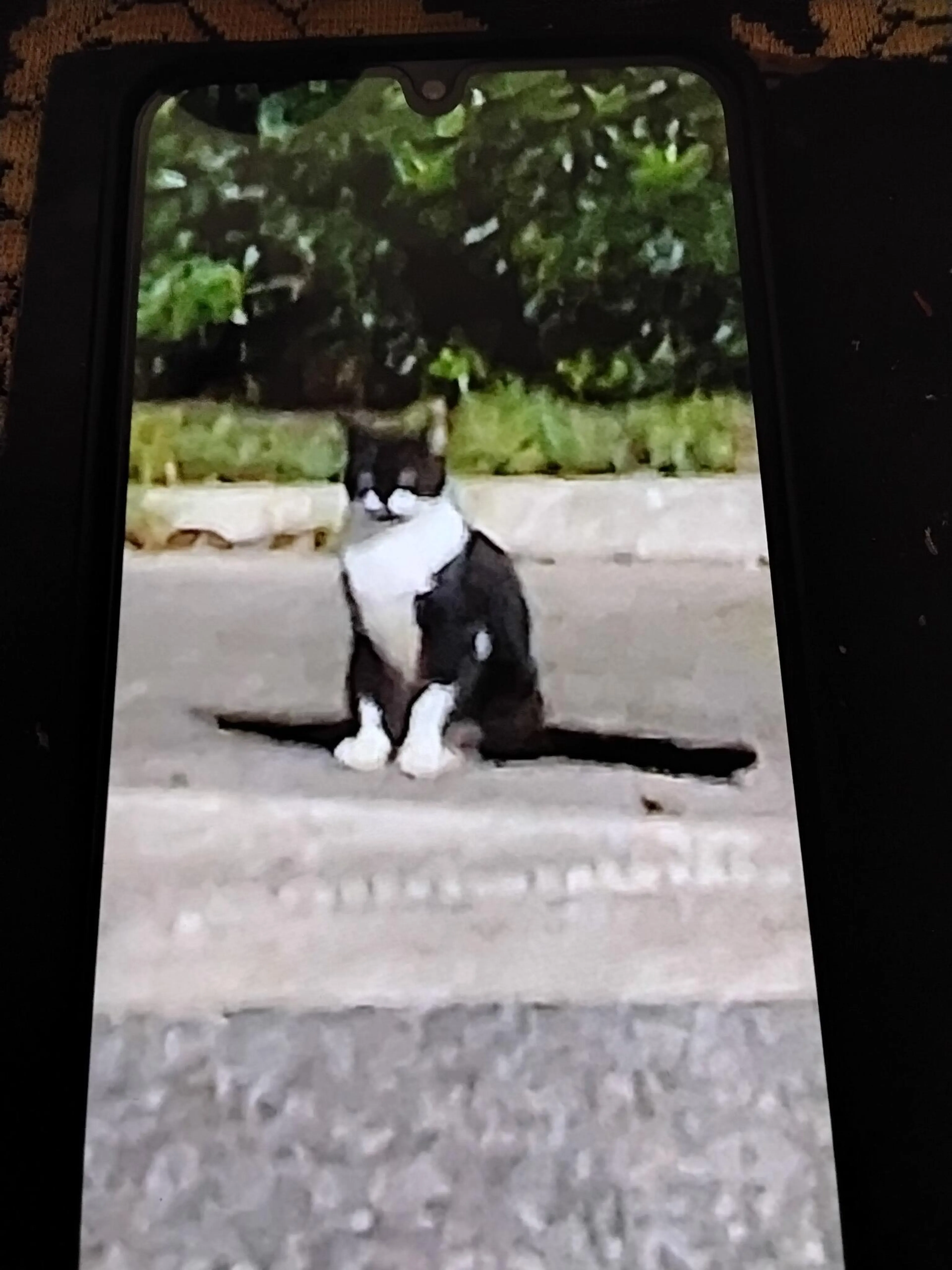cdn image