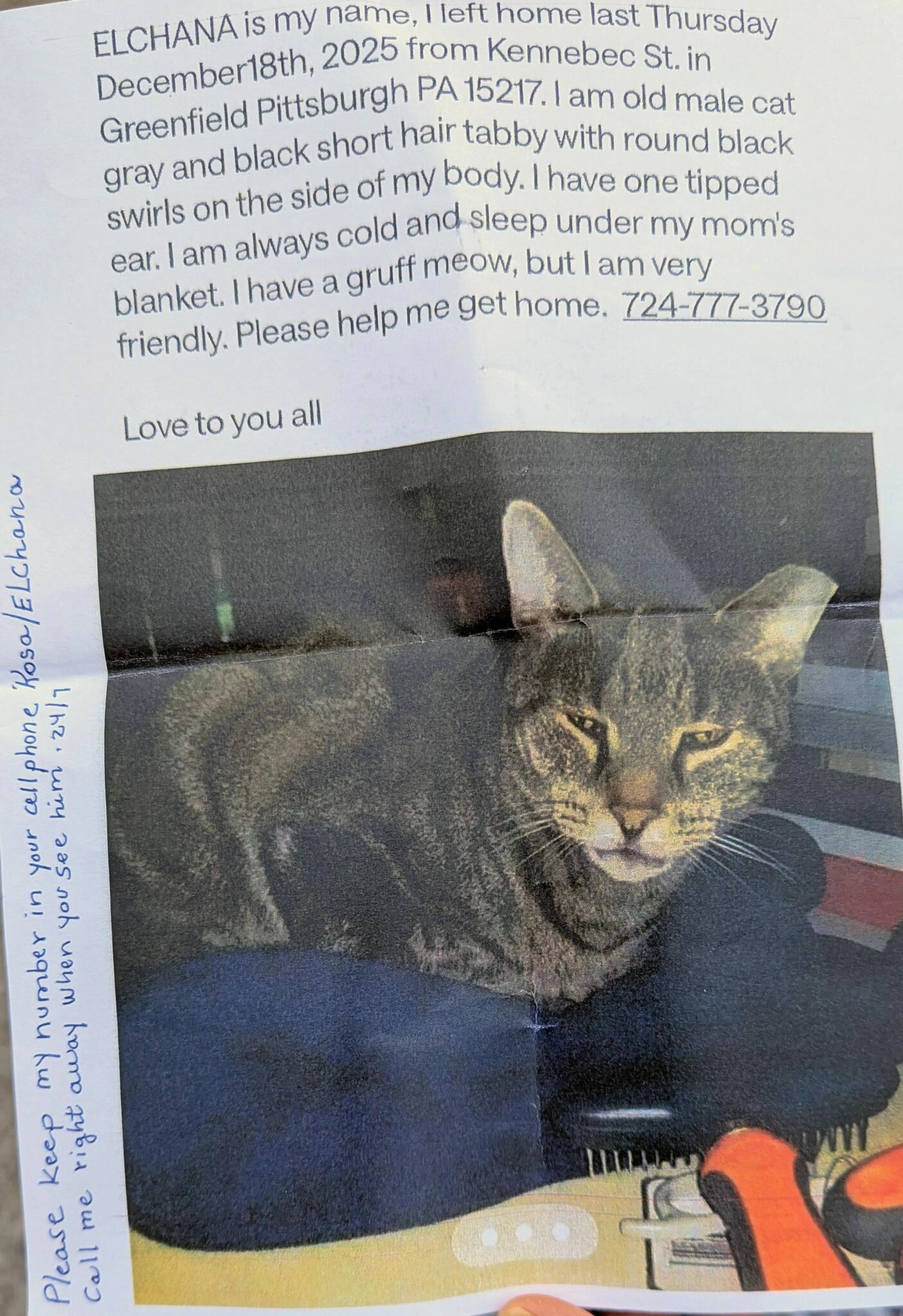 Lost pet