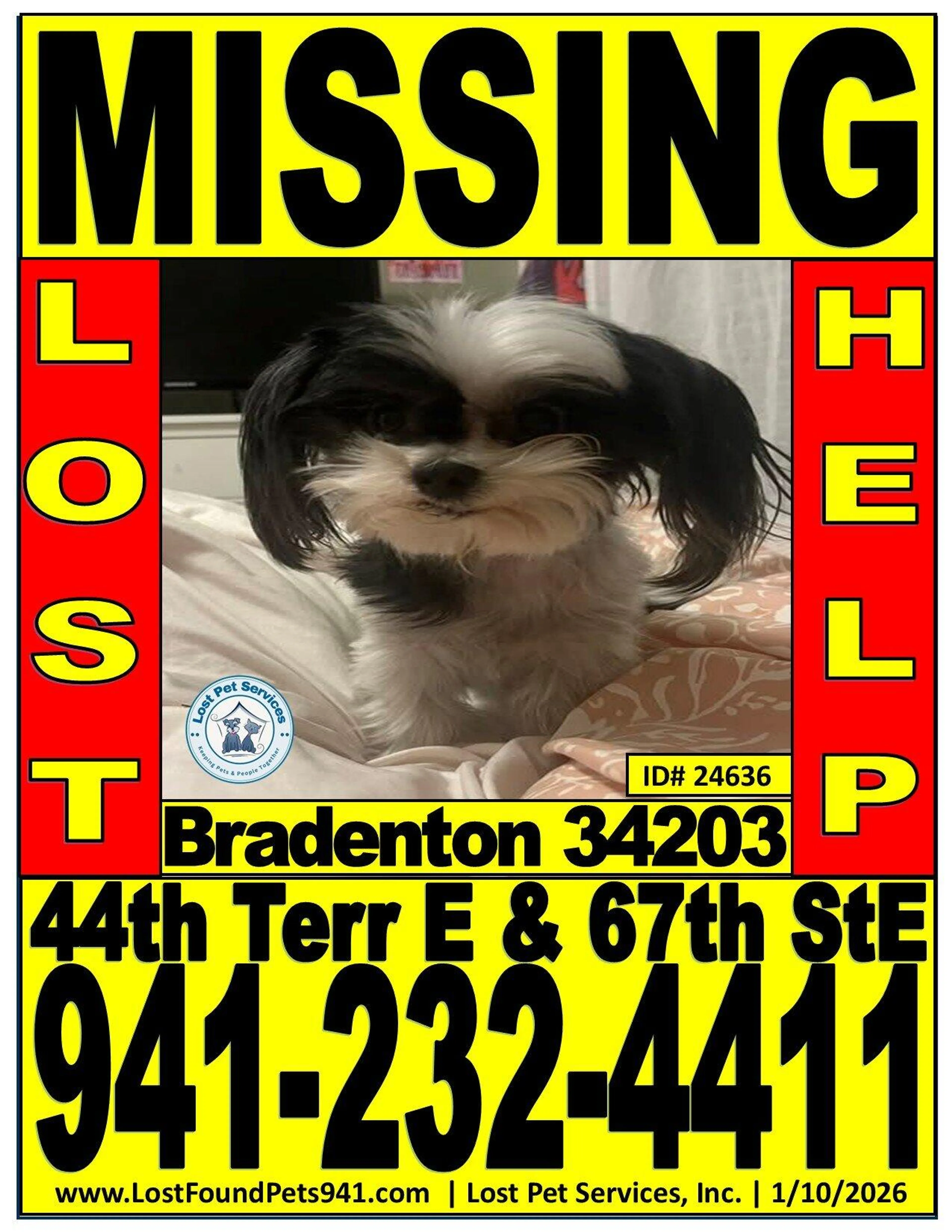 Lost pet