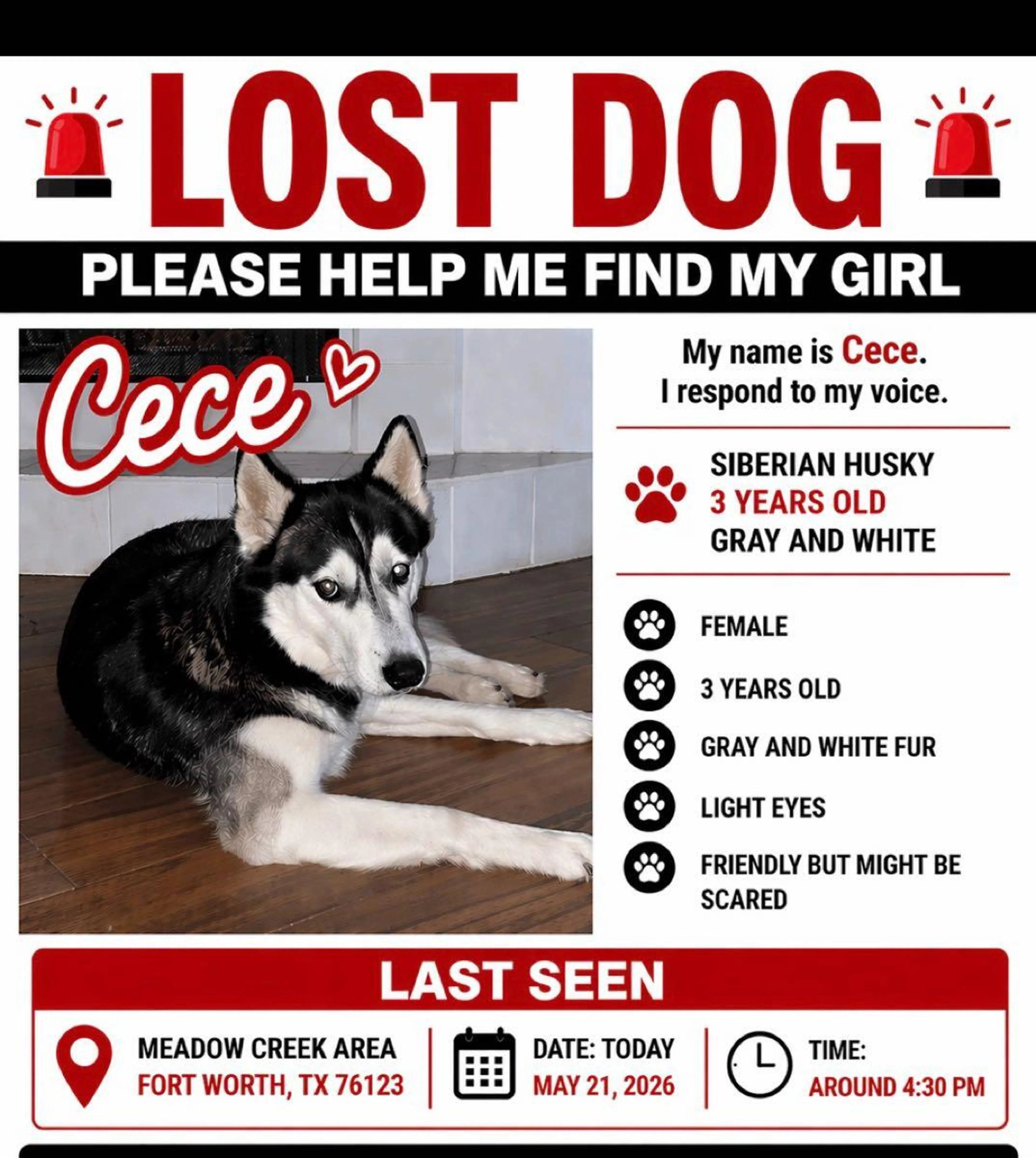 Lost pet