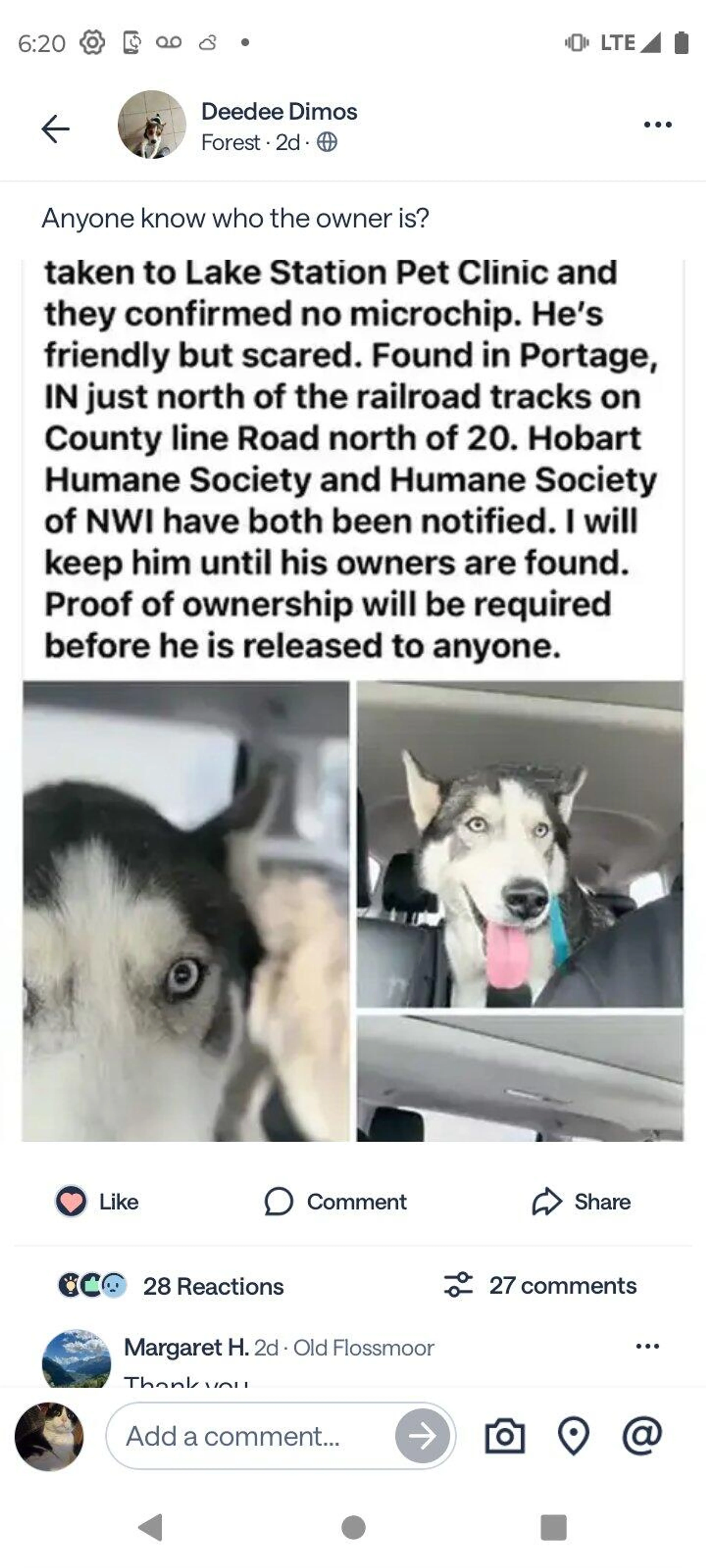 Found pet