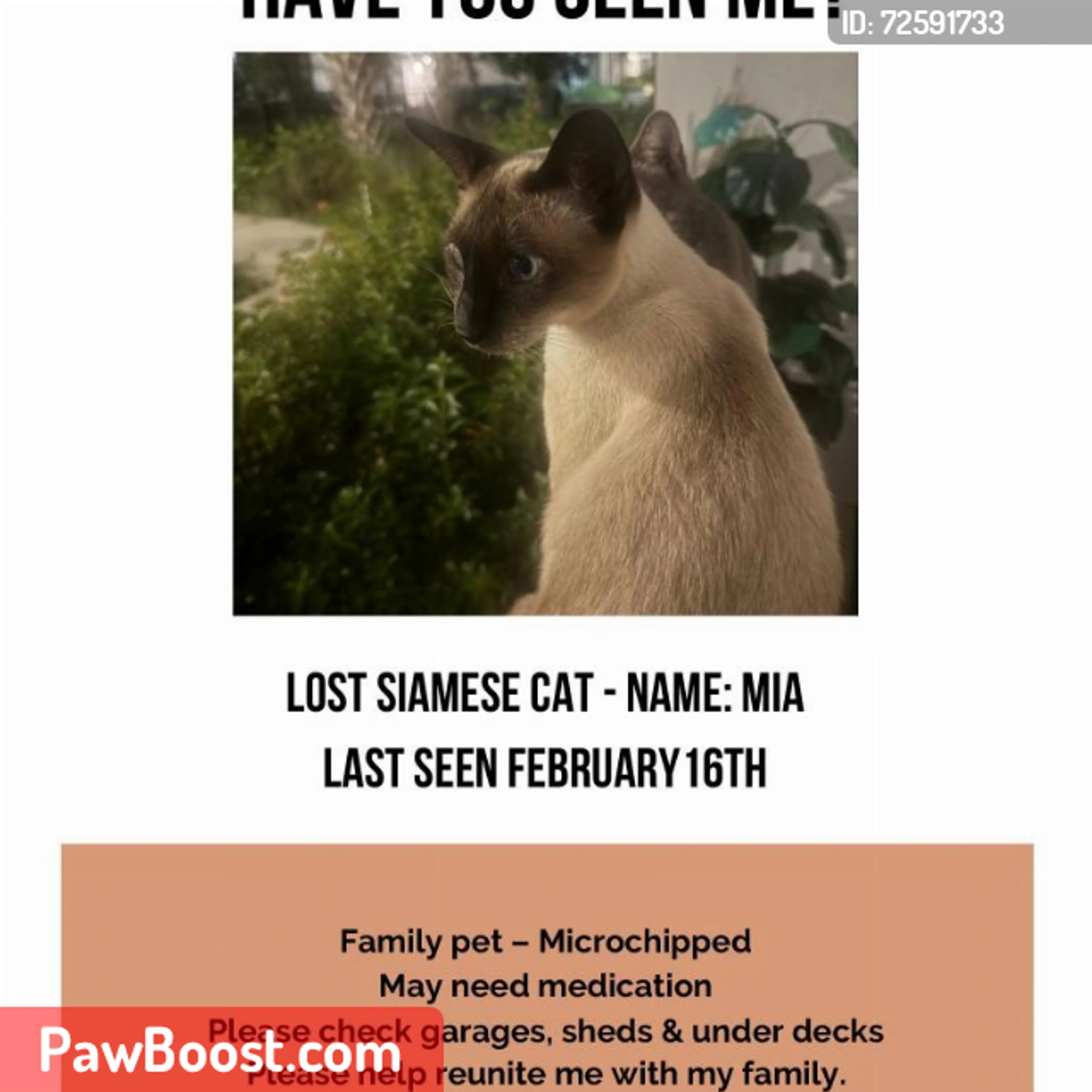 Lost pet