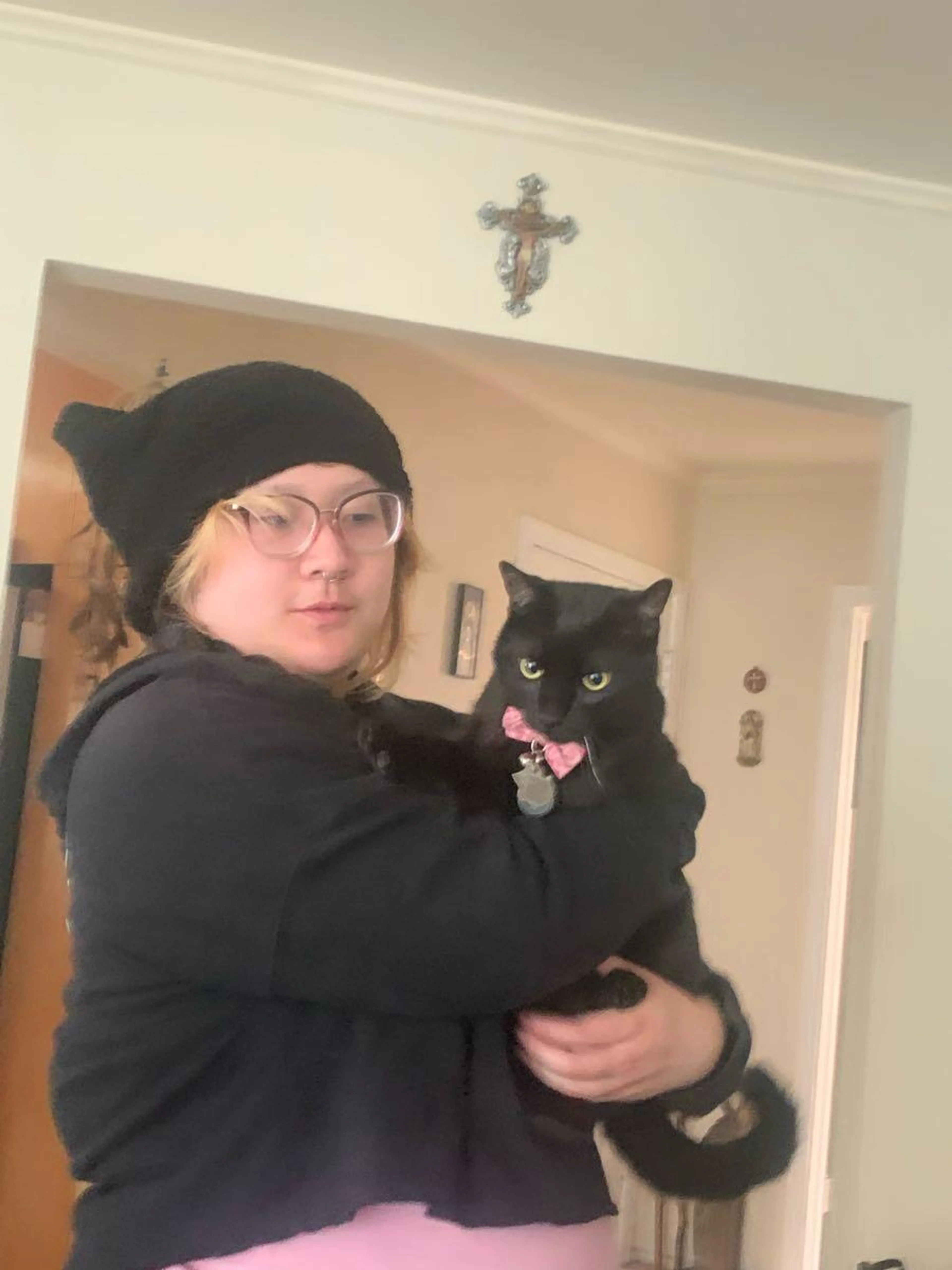 Lost pet