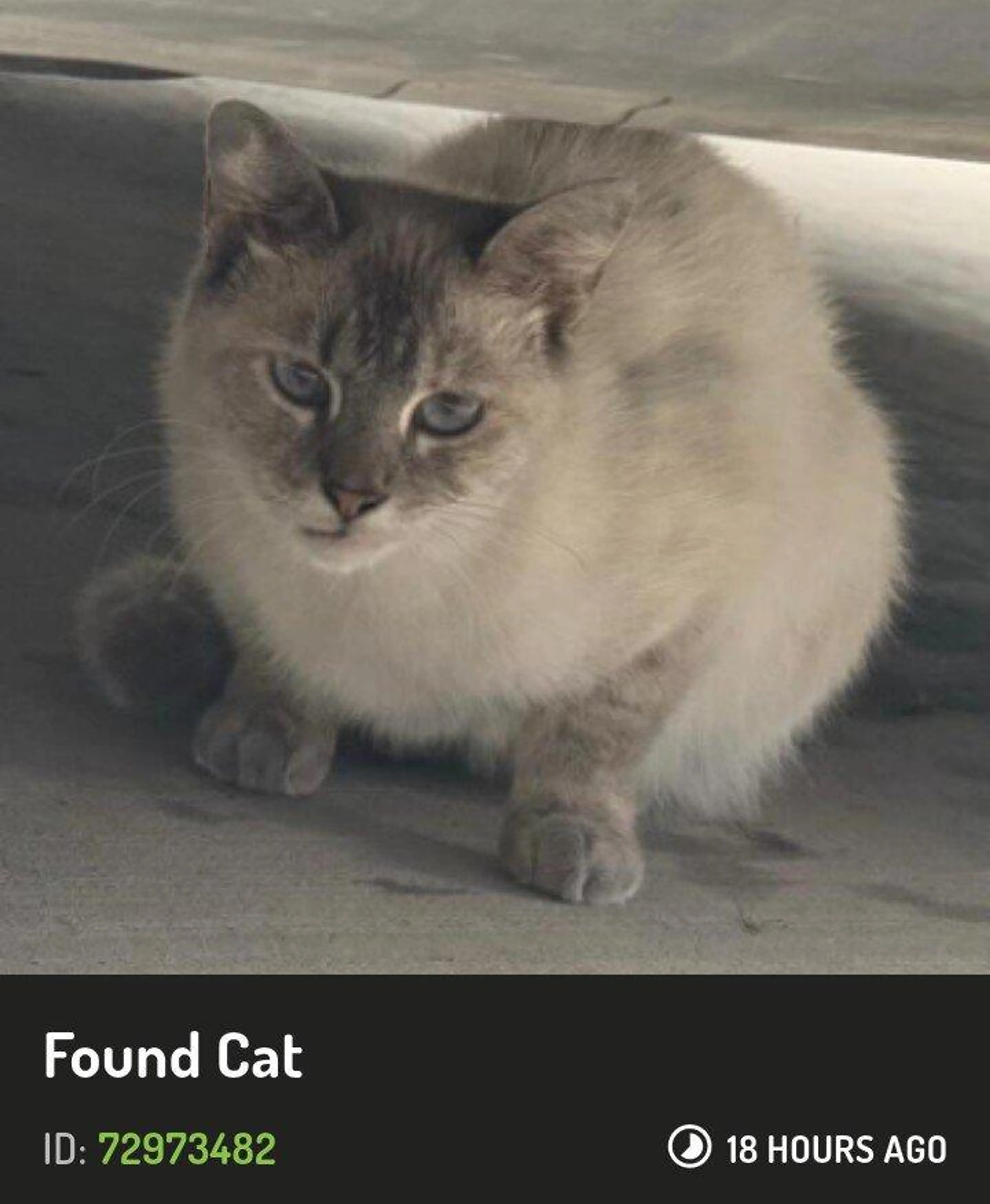 cdn image
