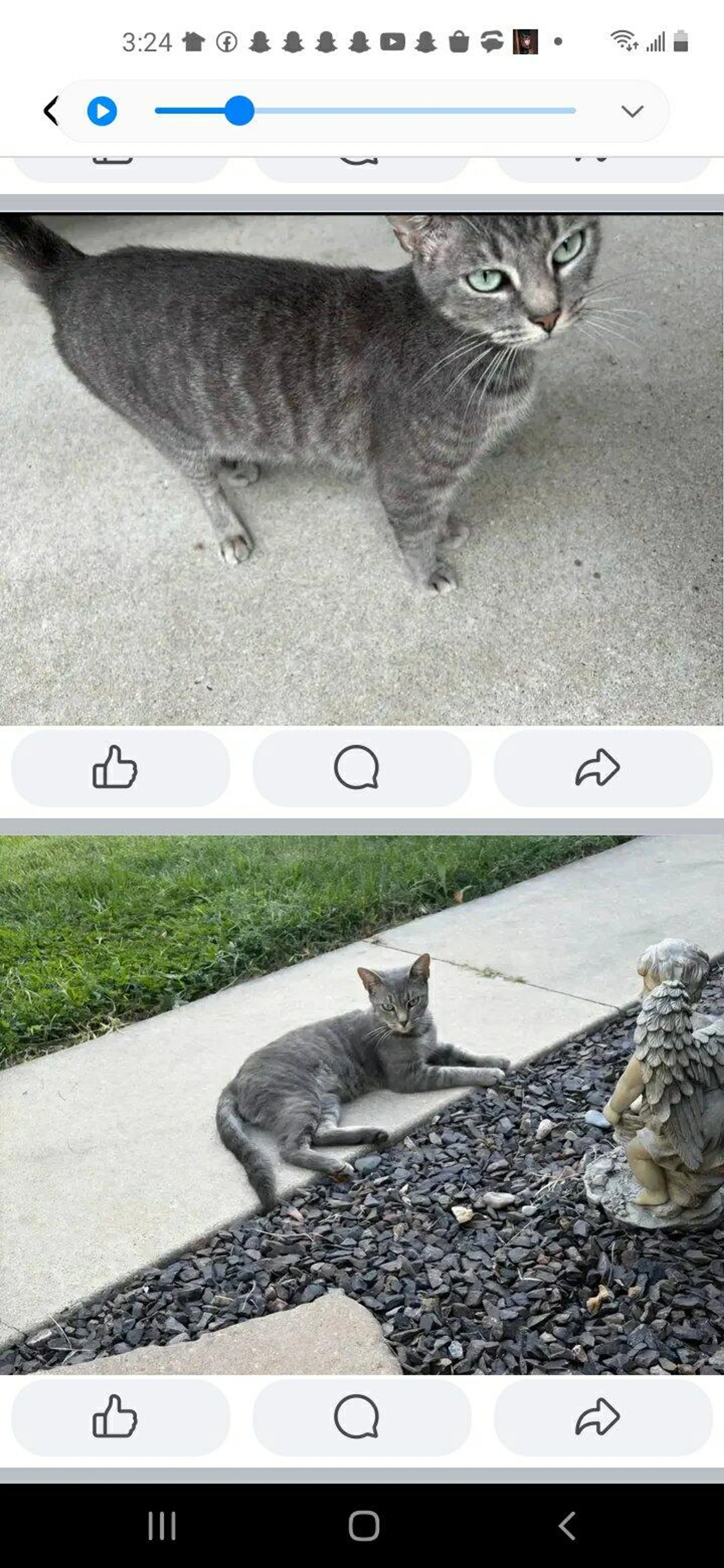 cdn image