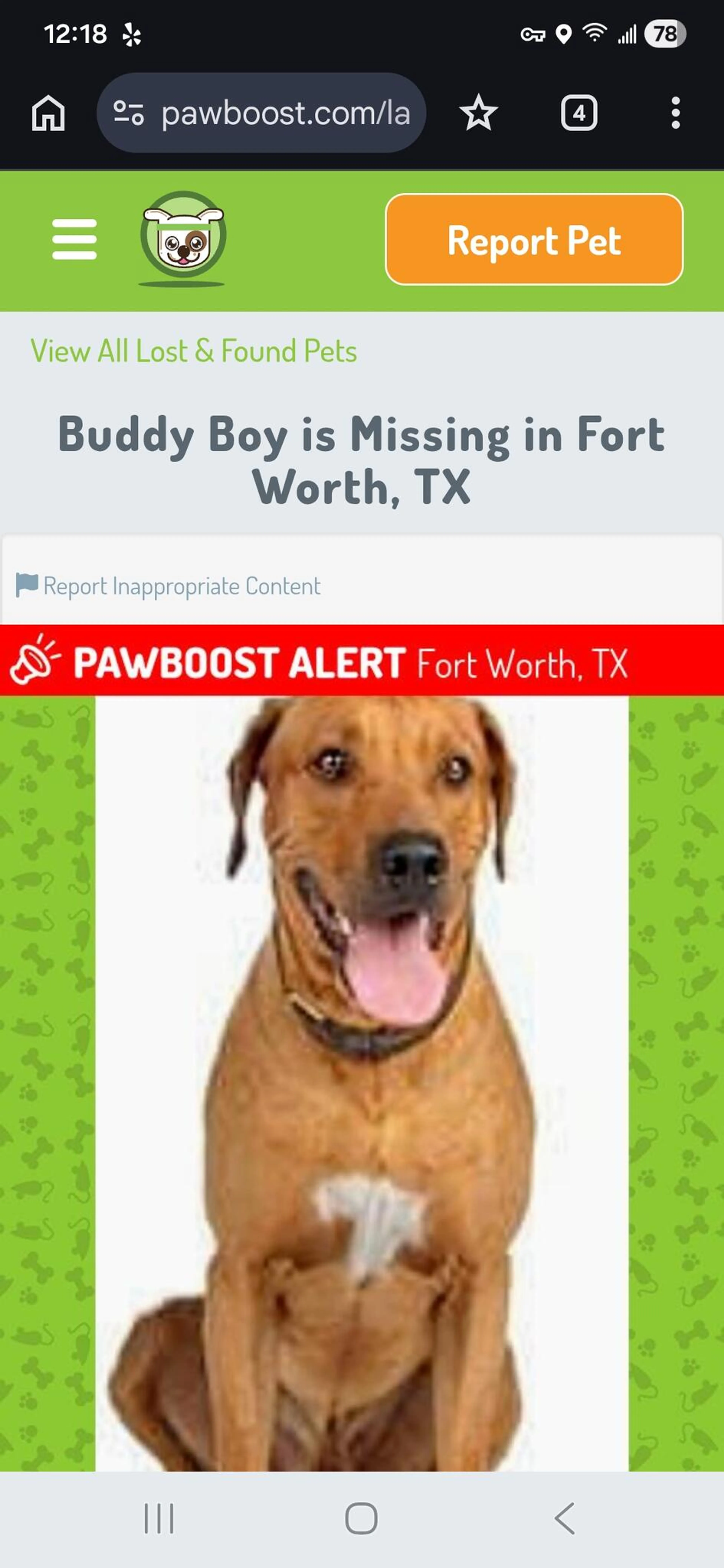 Found pet
