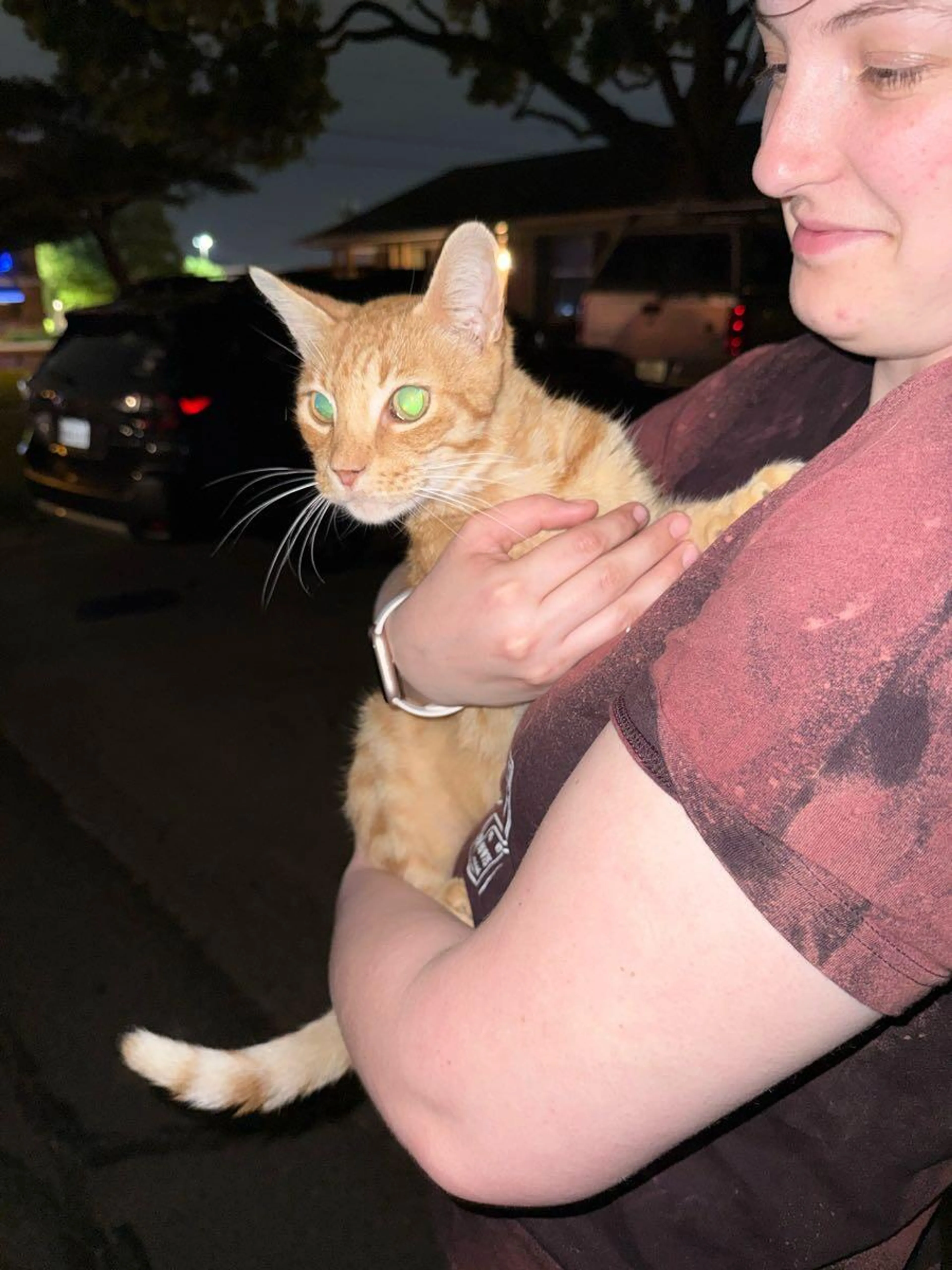 Found pet