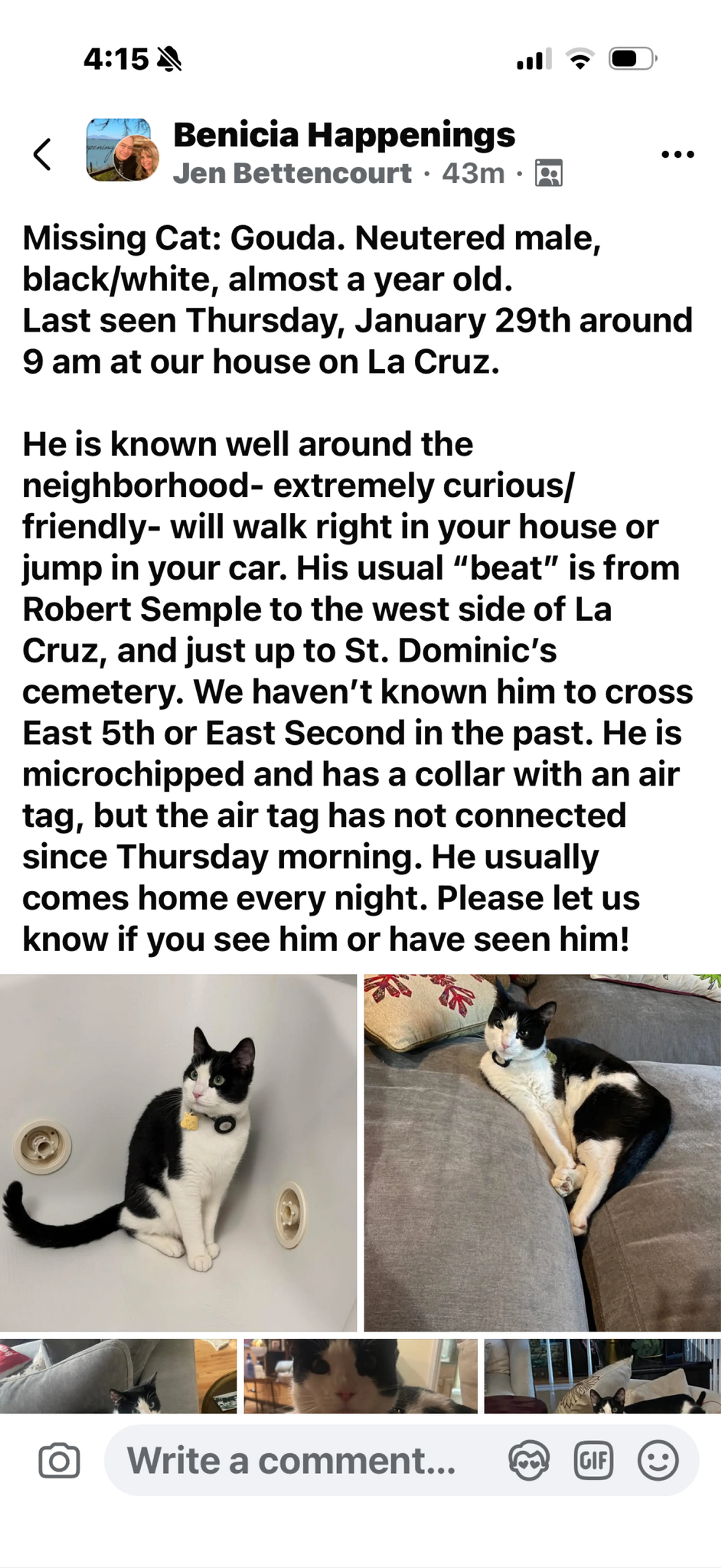 Lost pet