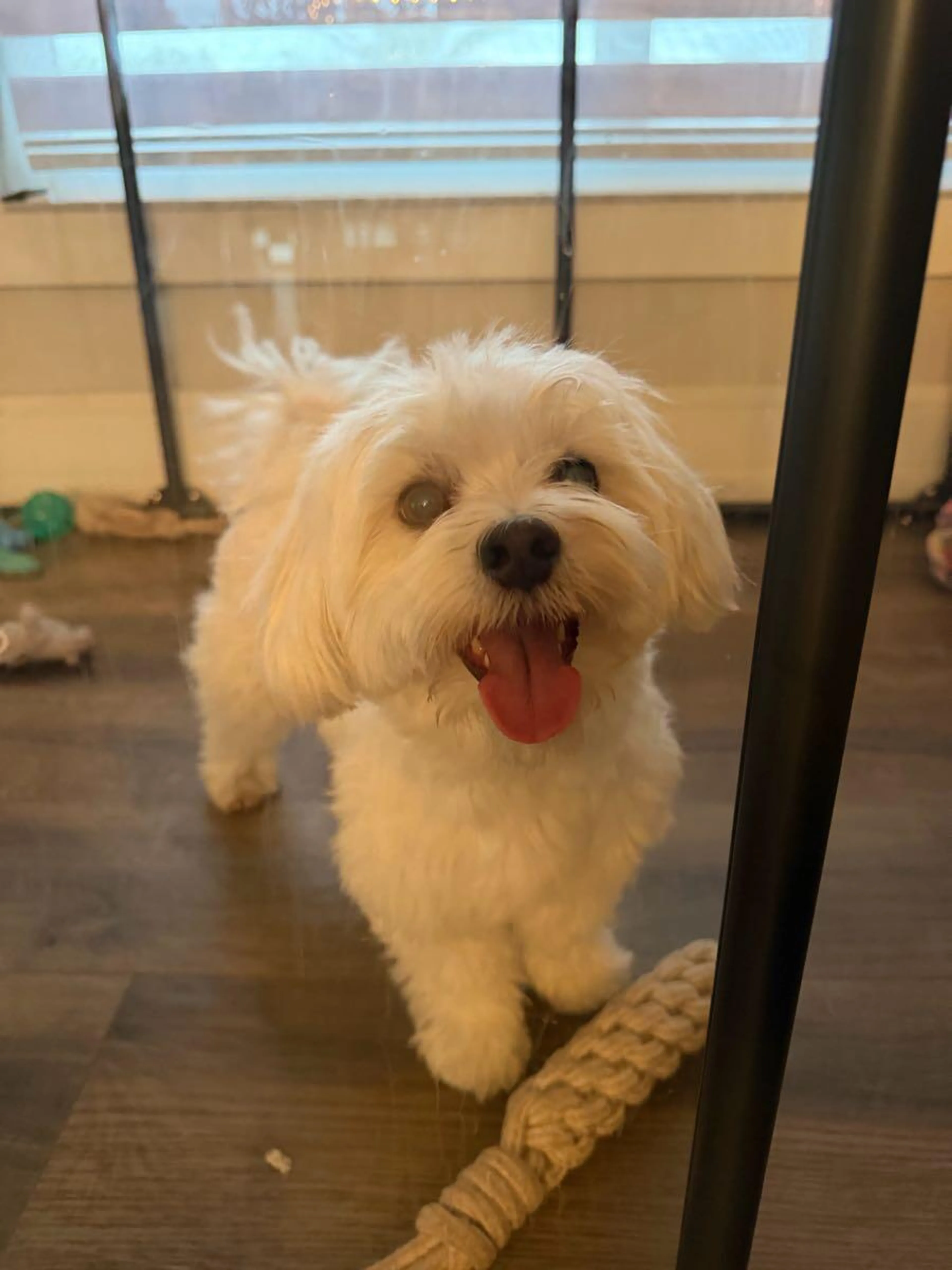 cdn image