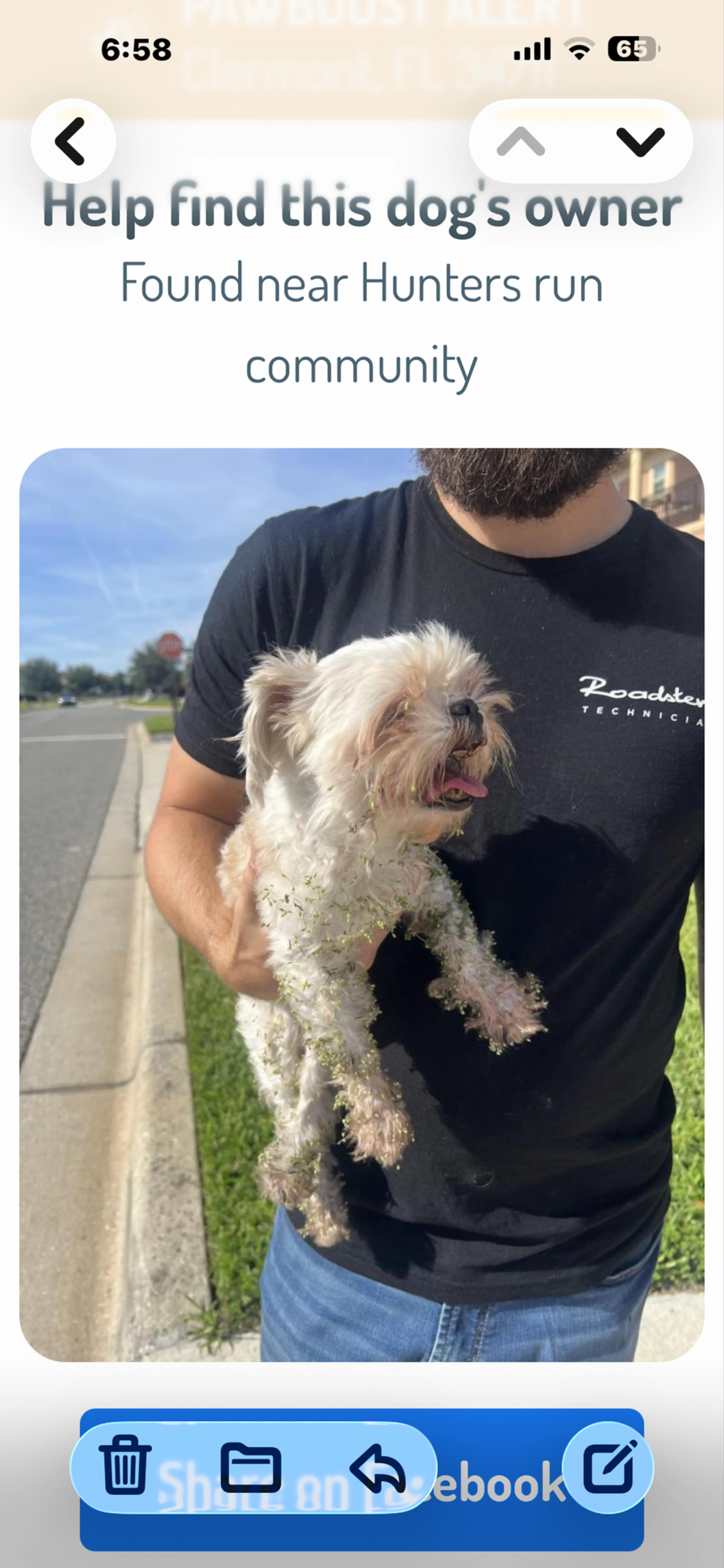 Found pet