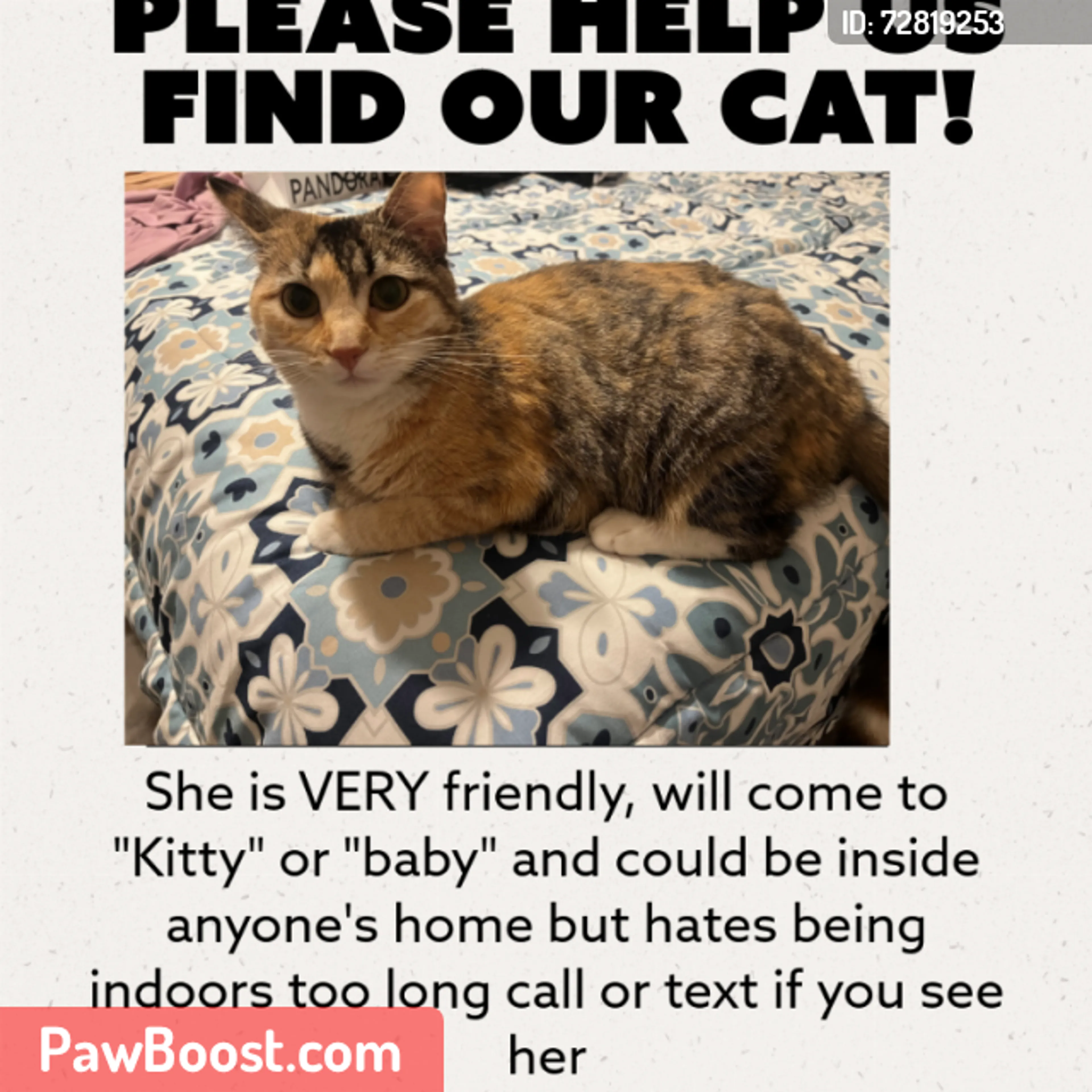Lost pet