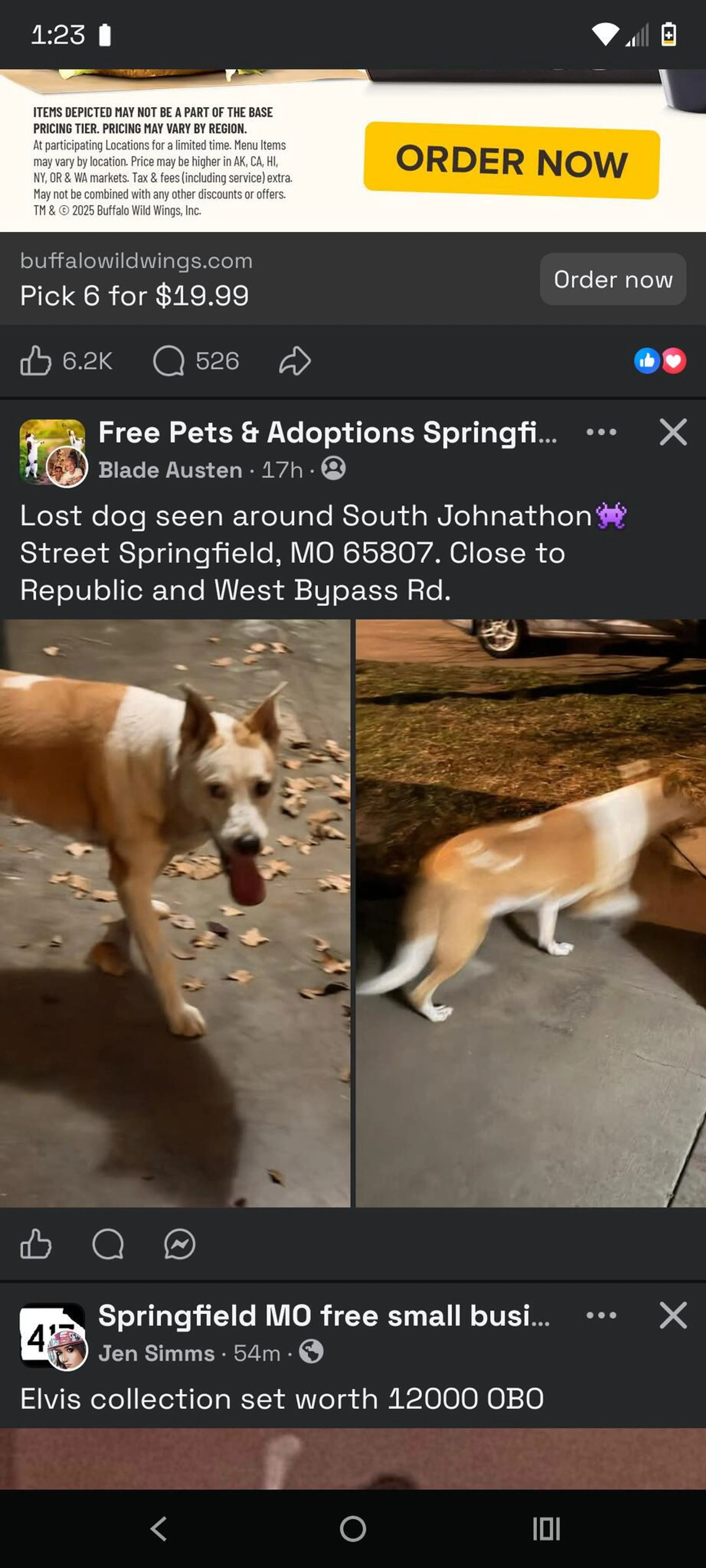 Found pet