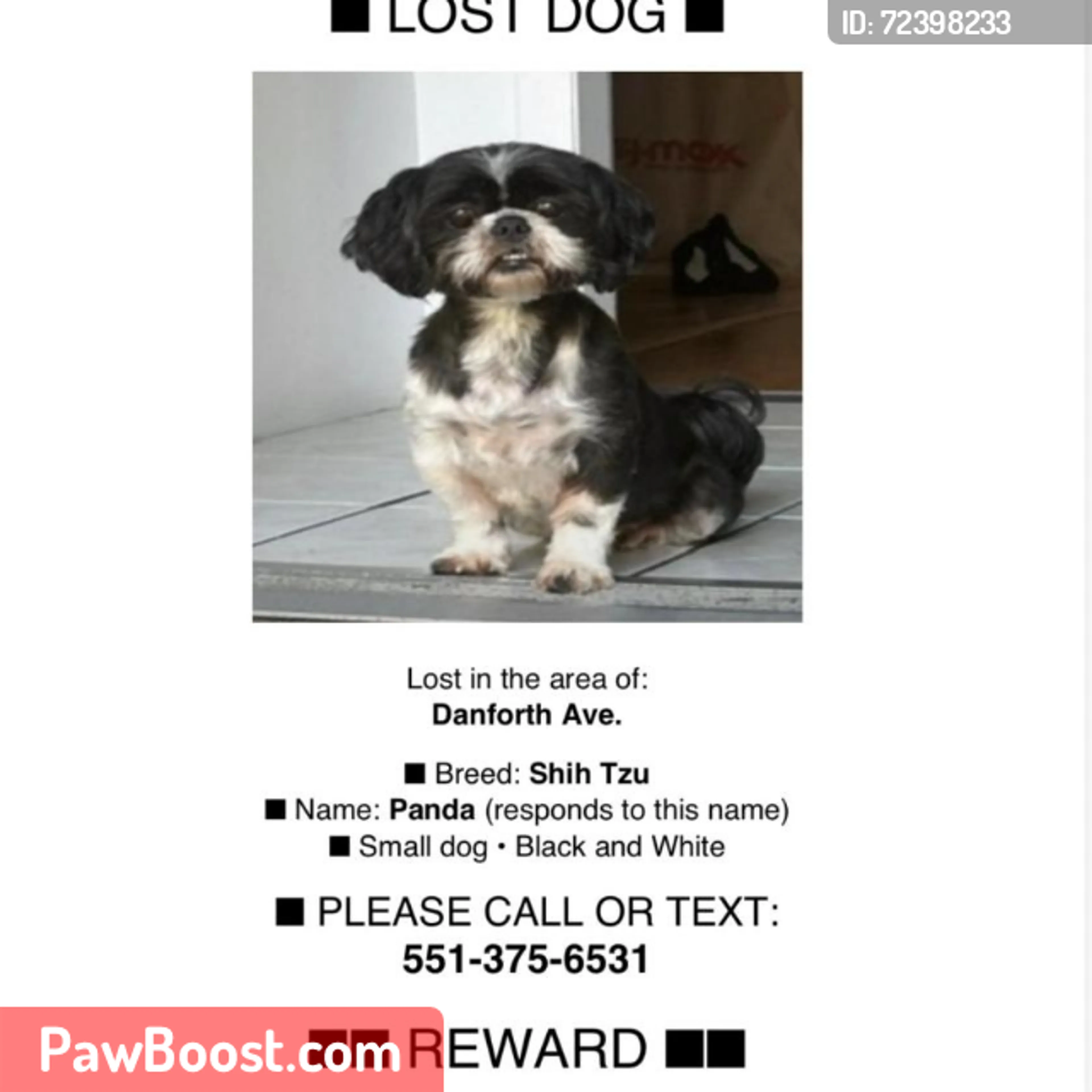 Lost pet