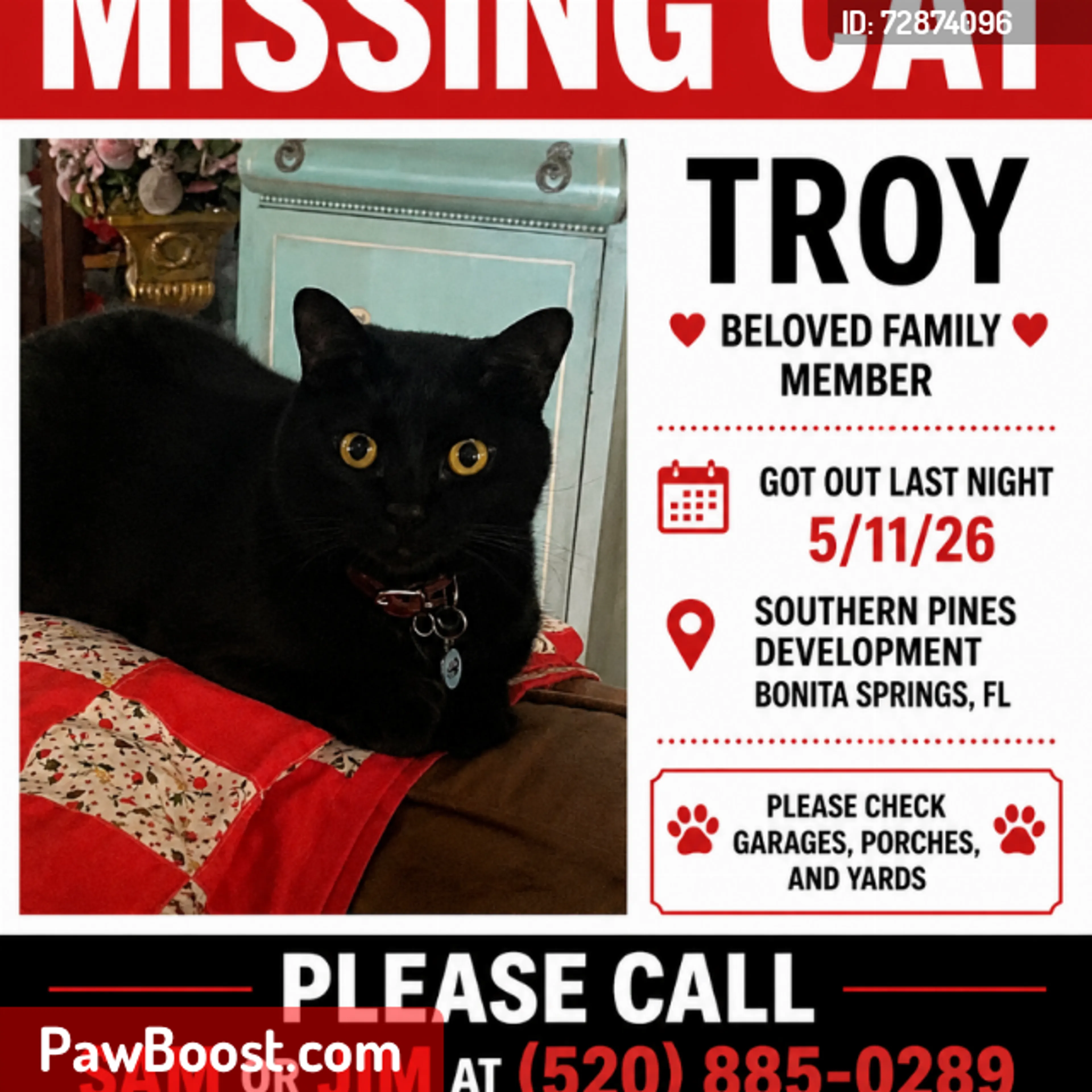 Lost pet