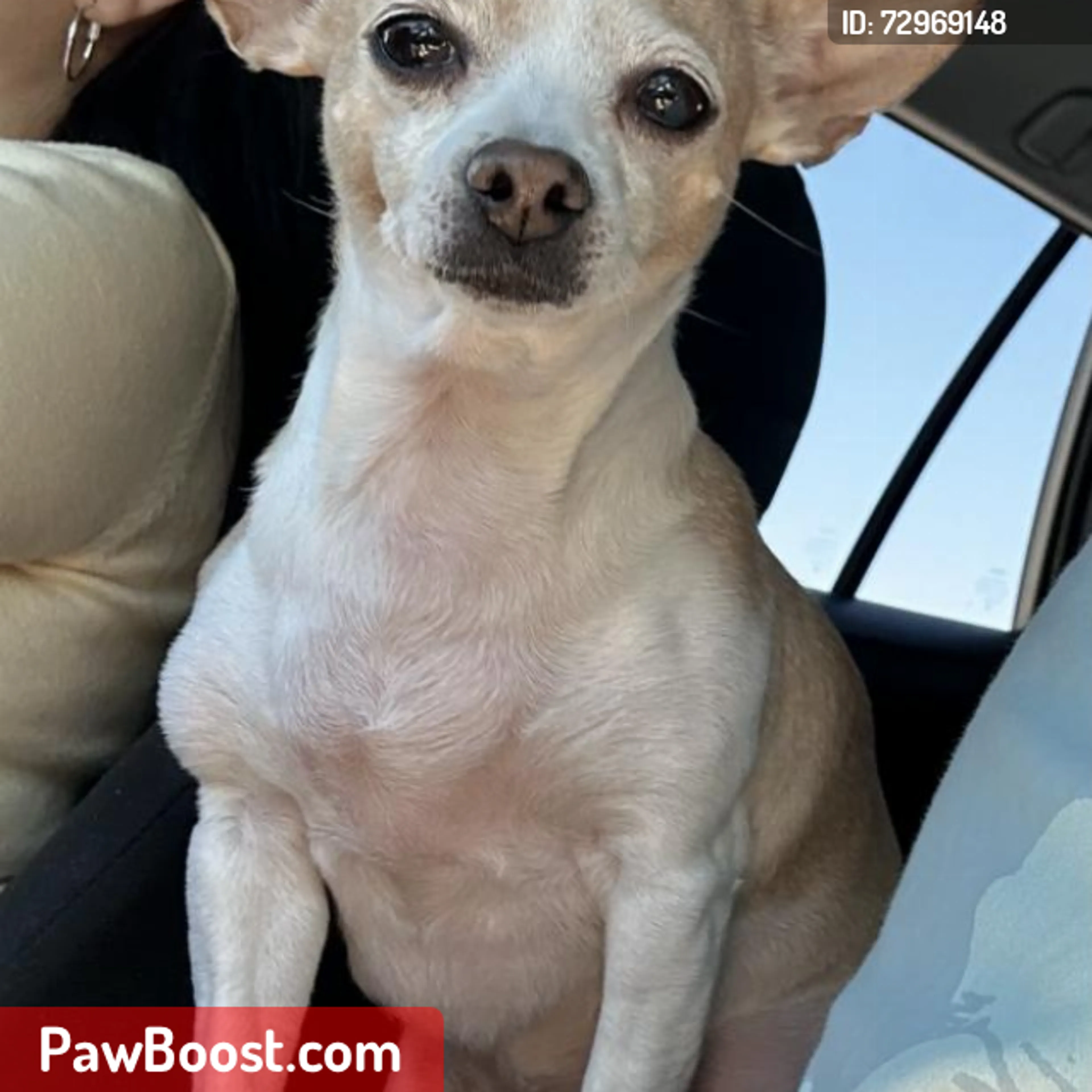 cdn image