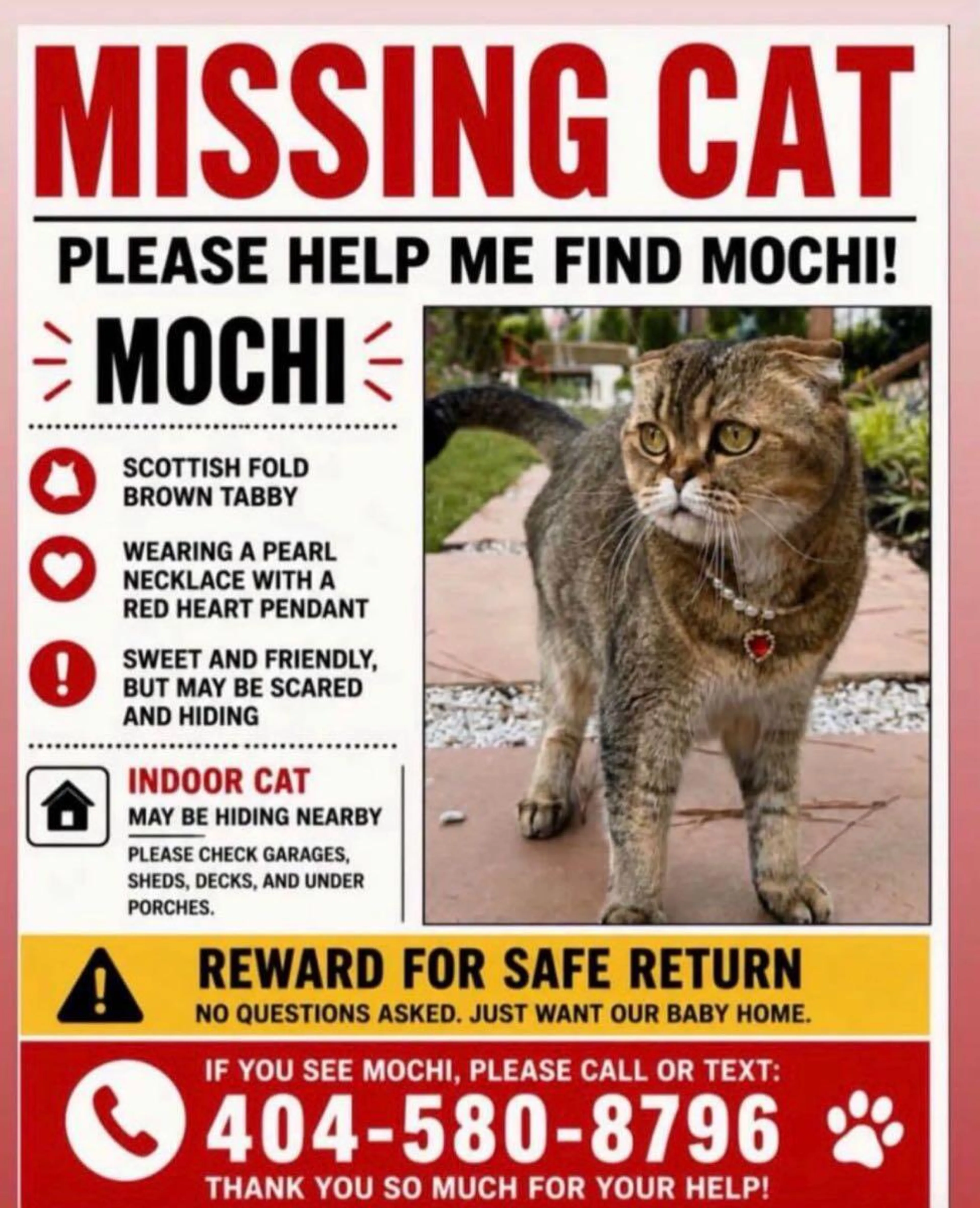 Lost pet