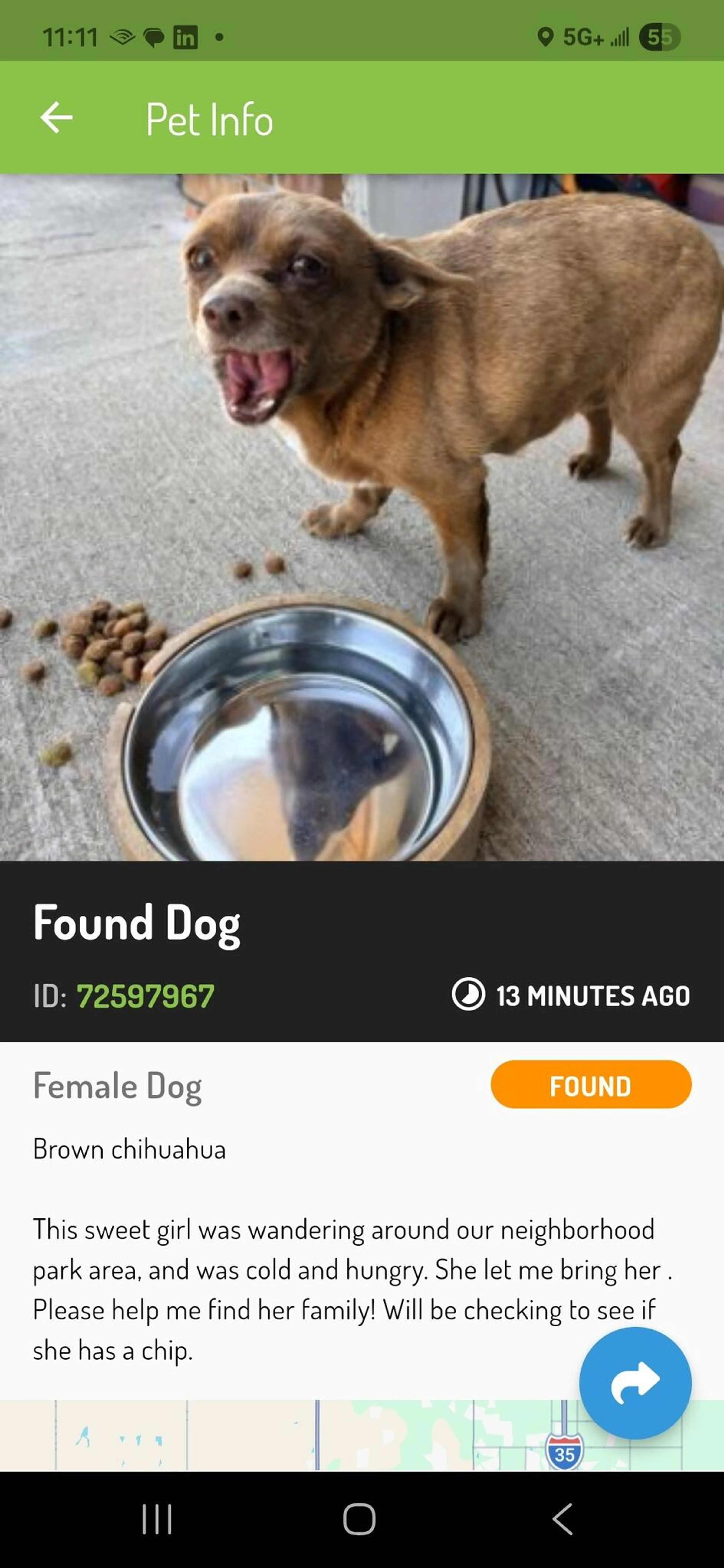Found pet