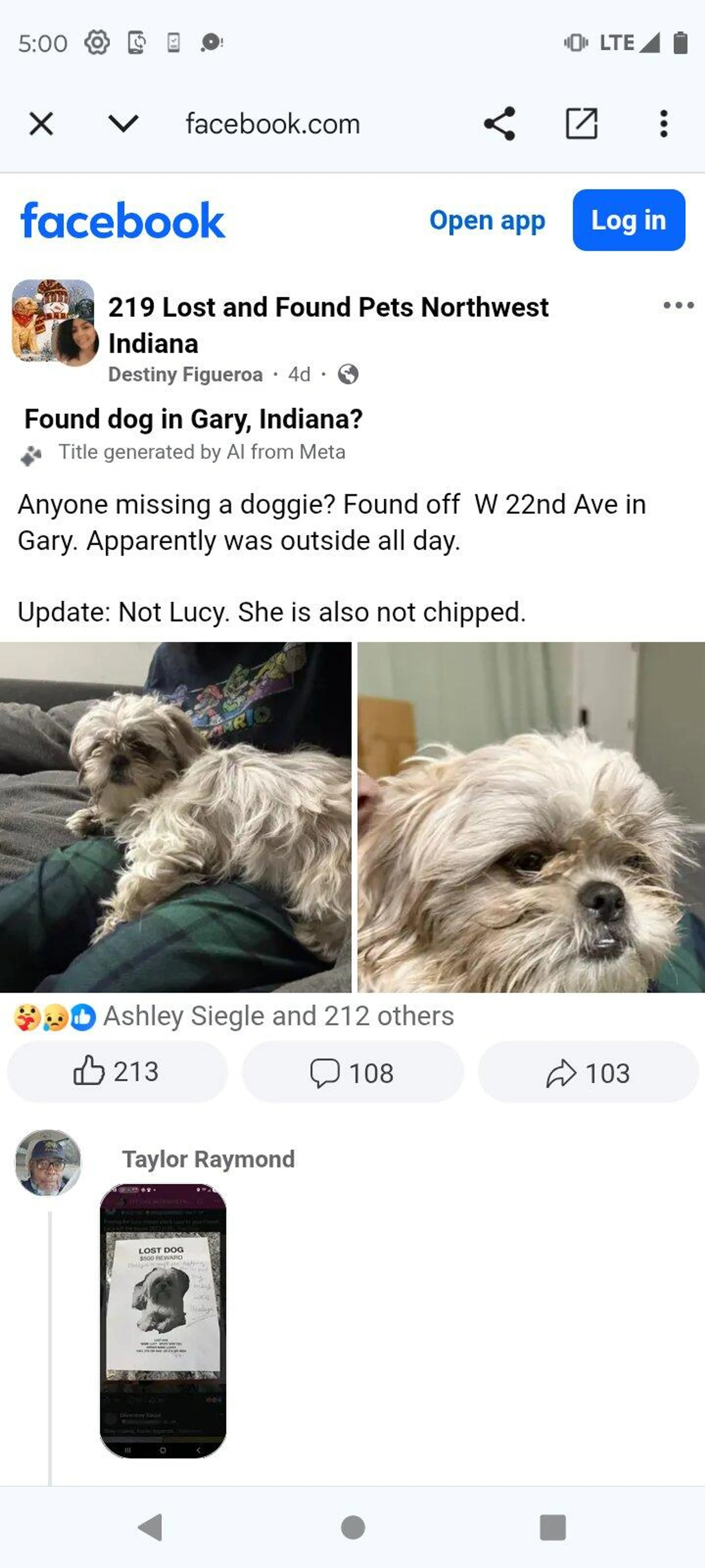 Found pet