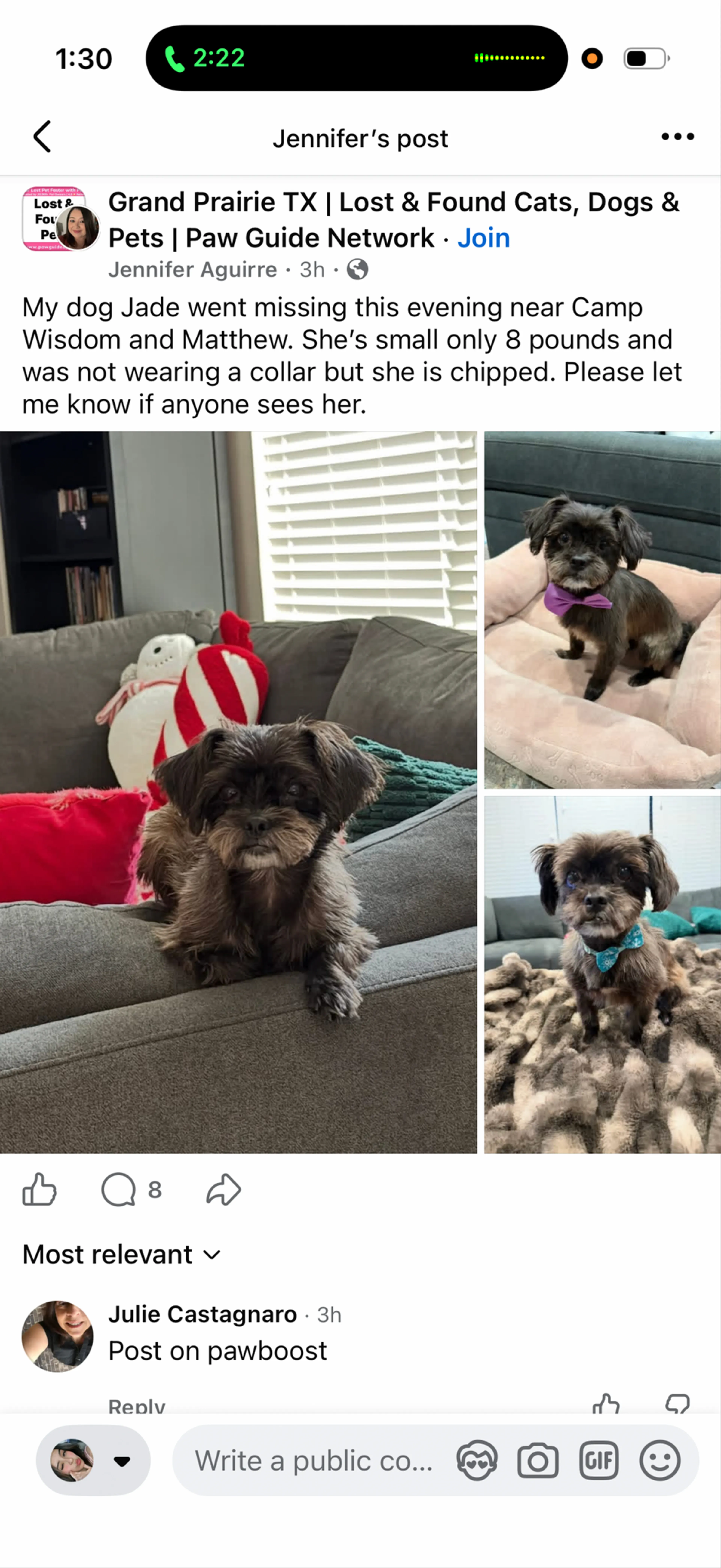 Lost pet