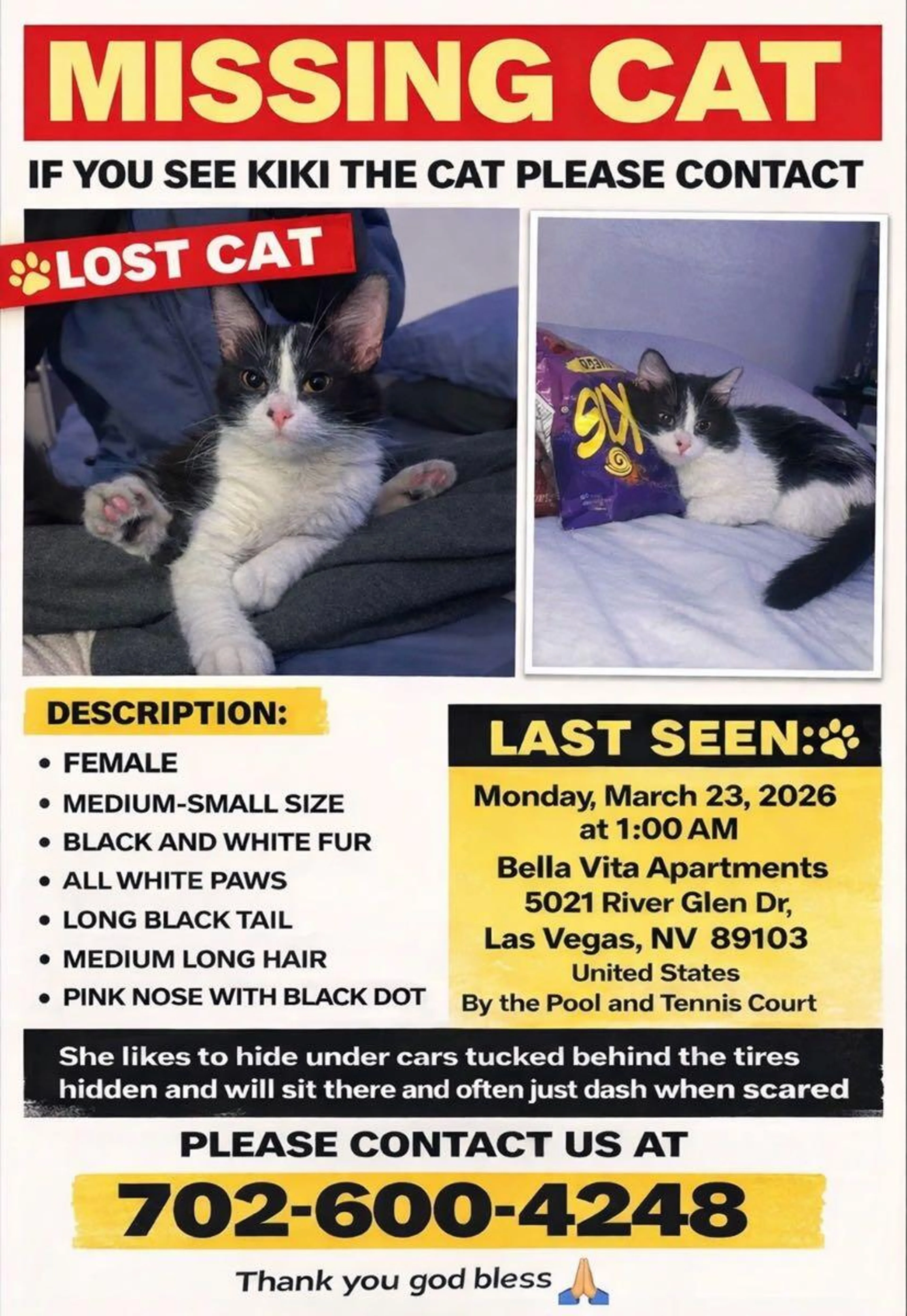 Lost pet