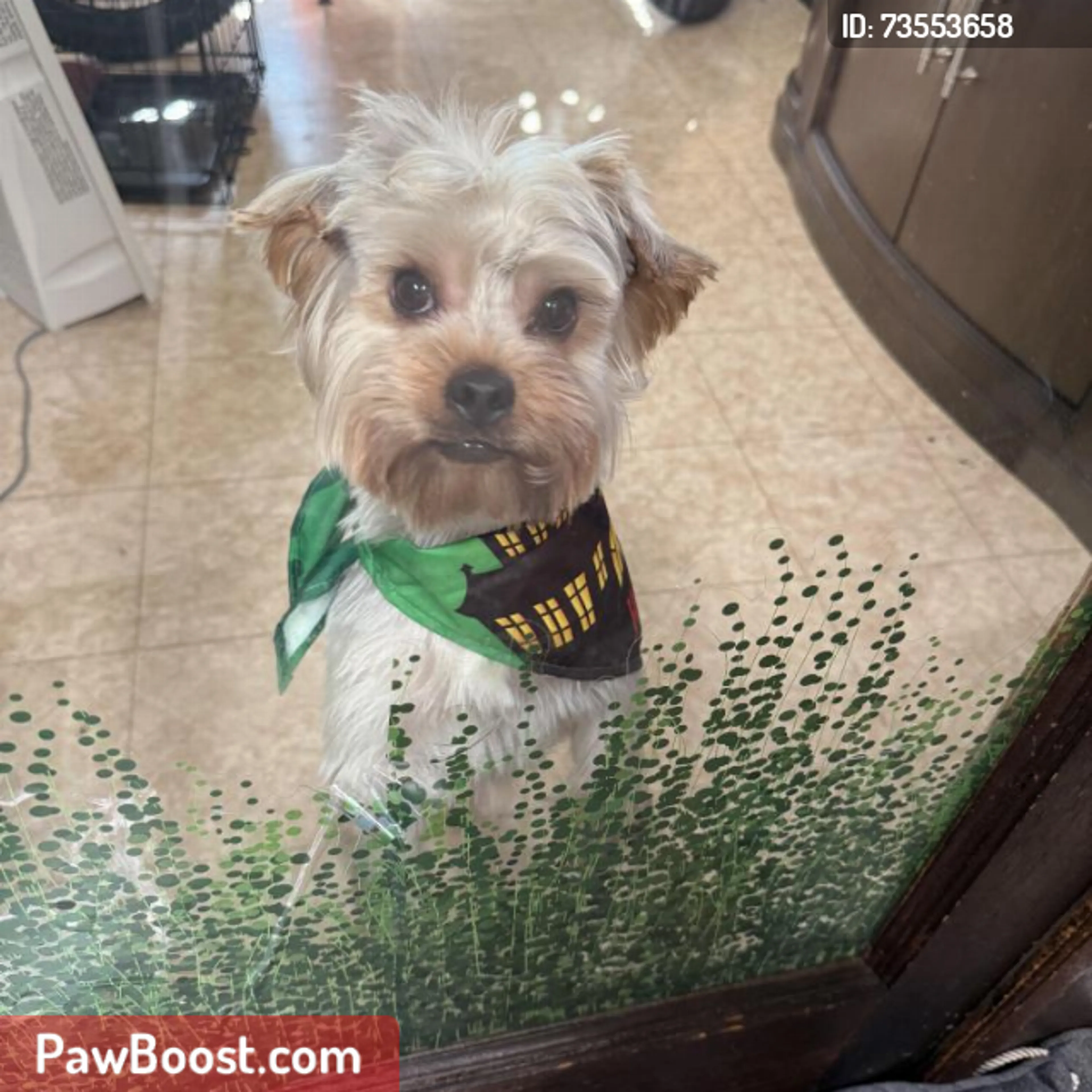 cdn image