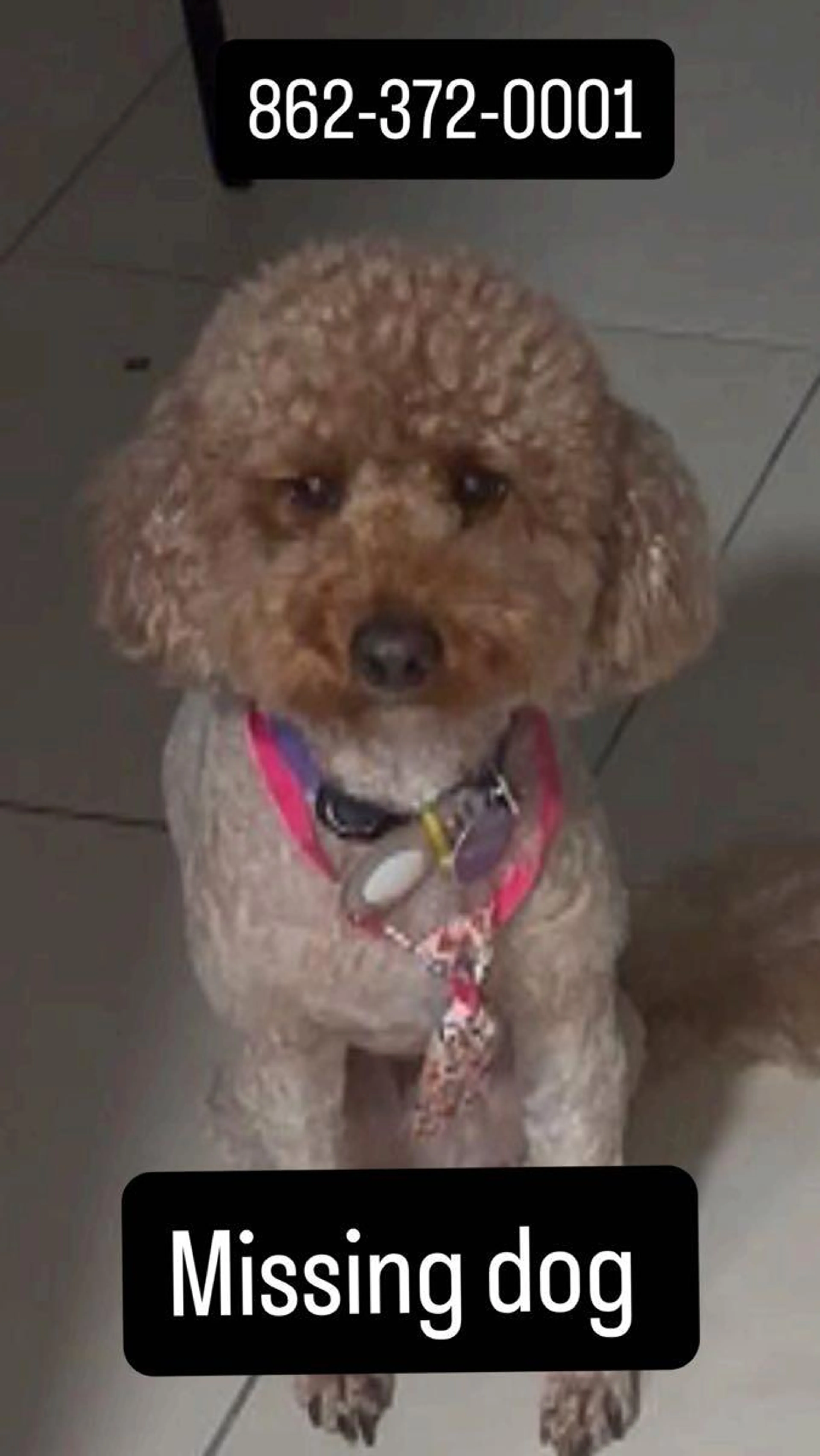 cdn image